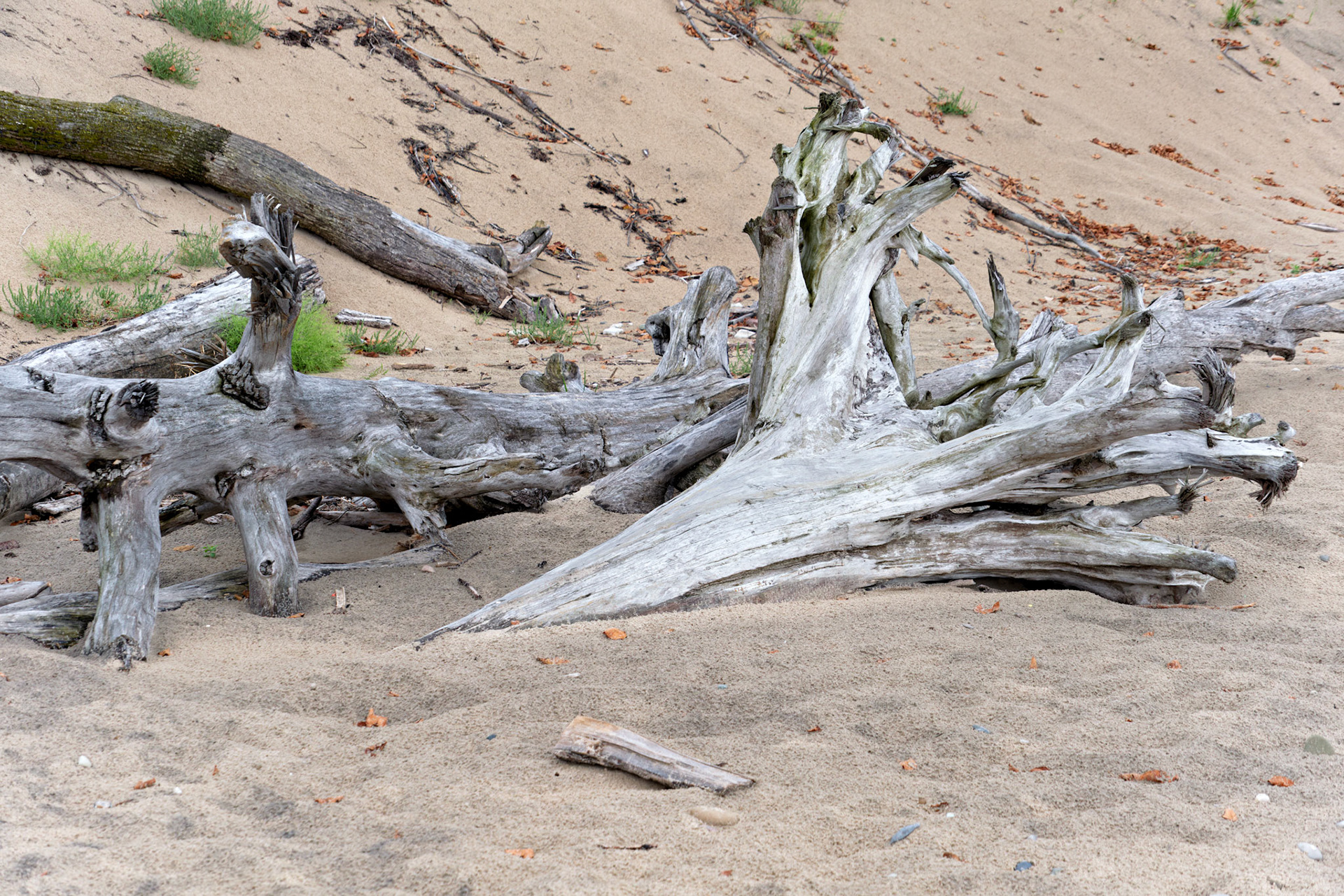 20240920__FXT1805_PS.tif