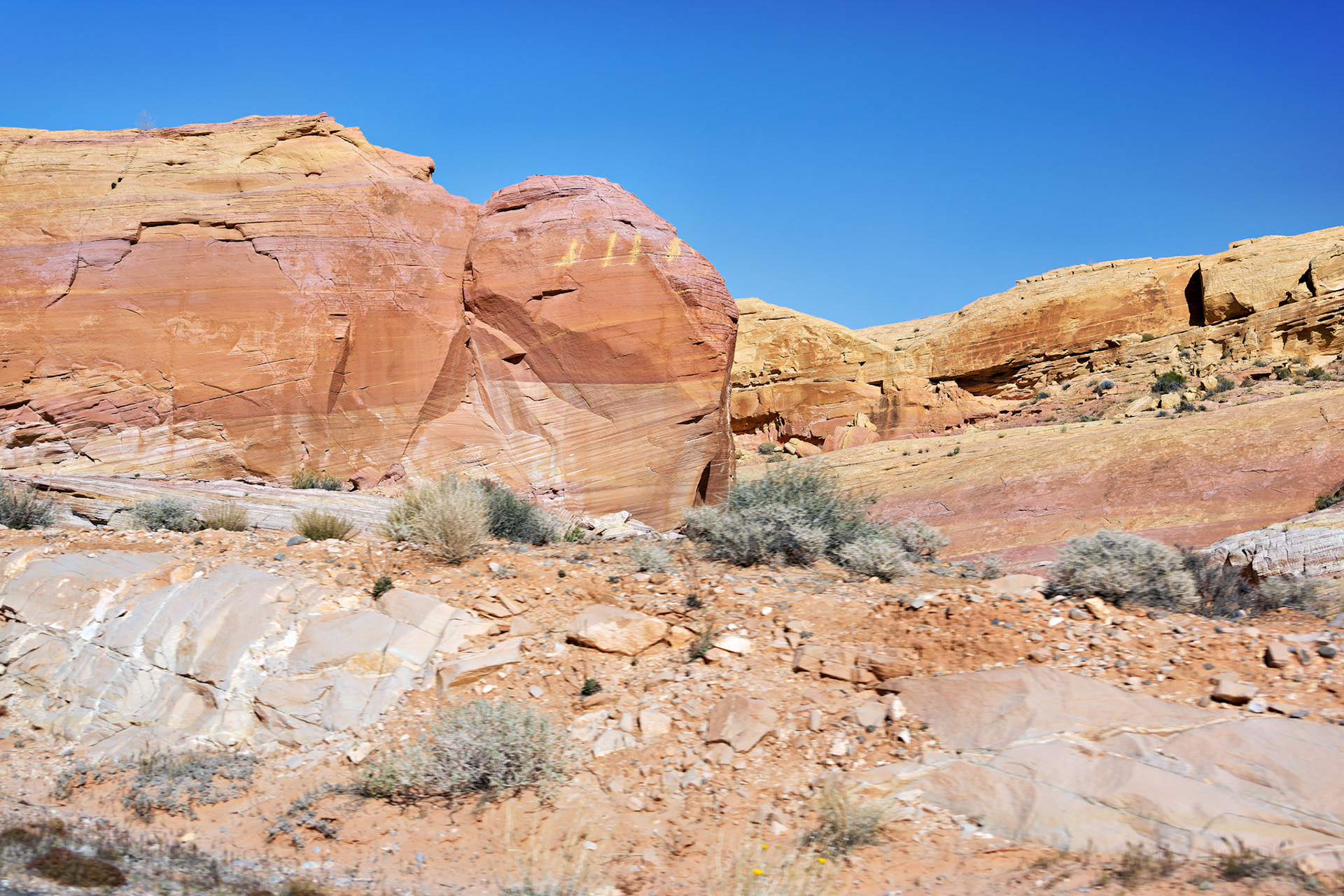 NV_Deserts_20120313_0177_PS.tif