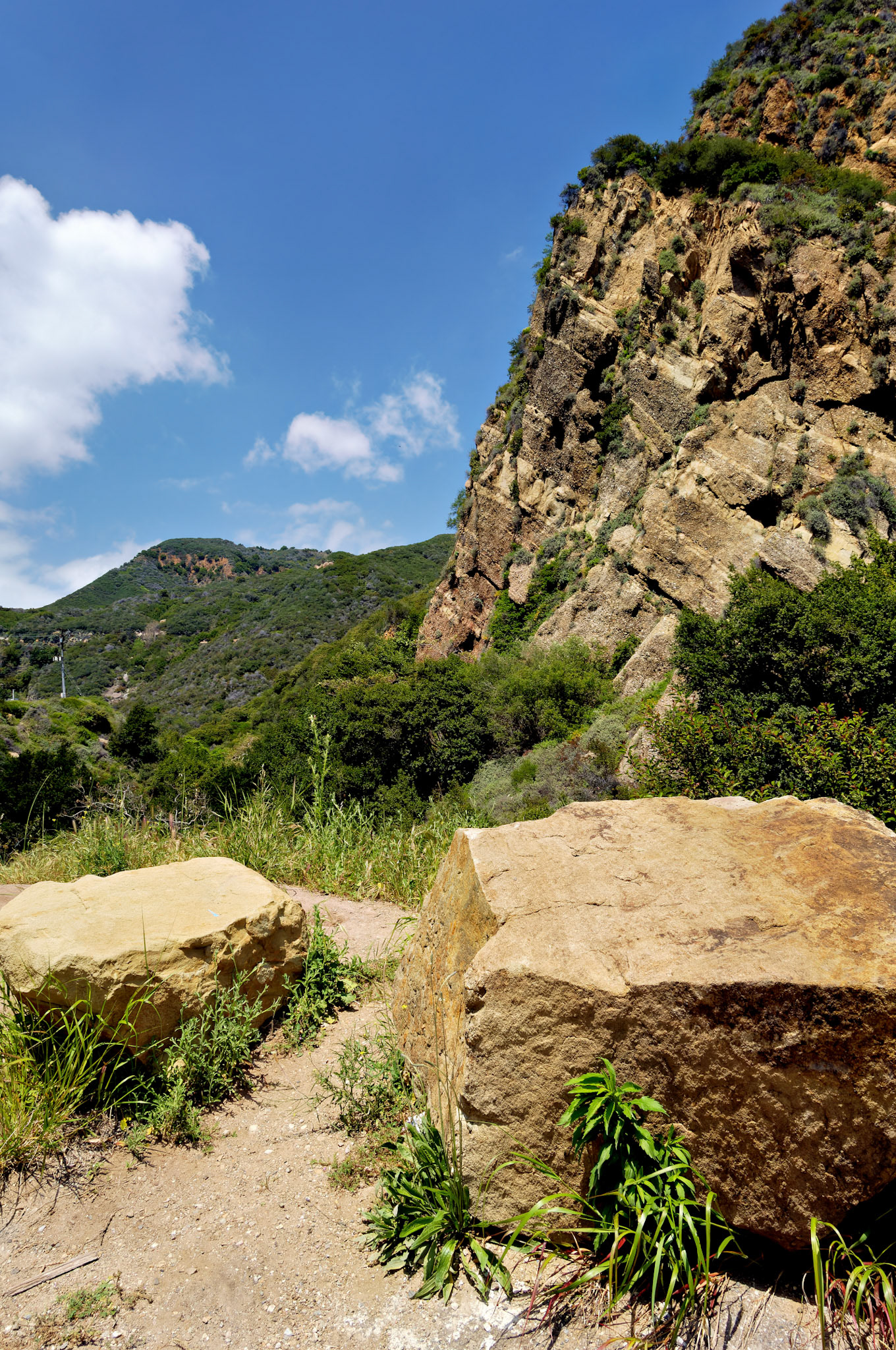 CA_LA_20060504_0320_PS.dng