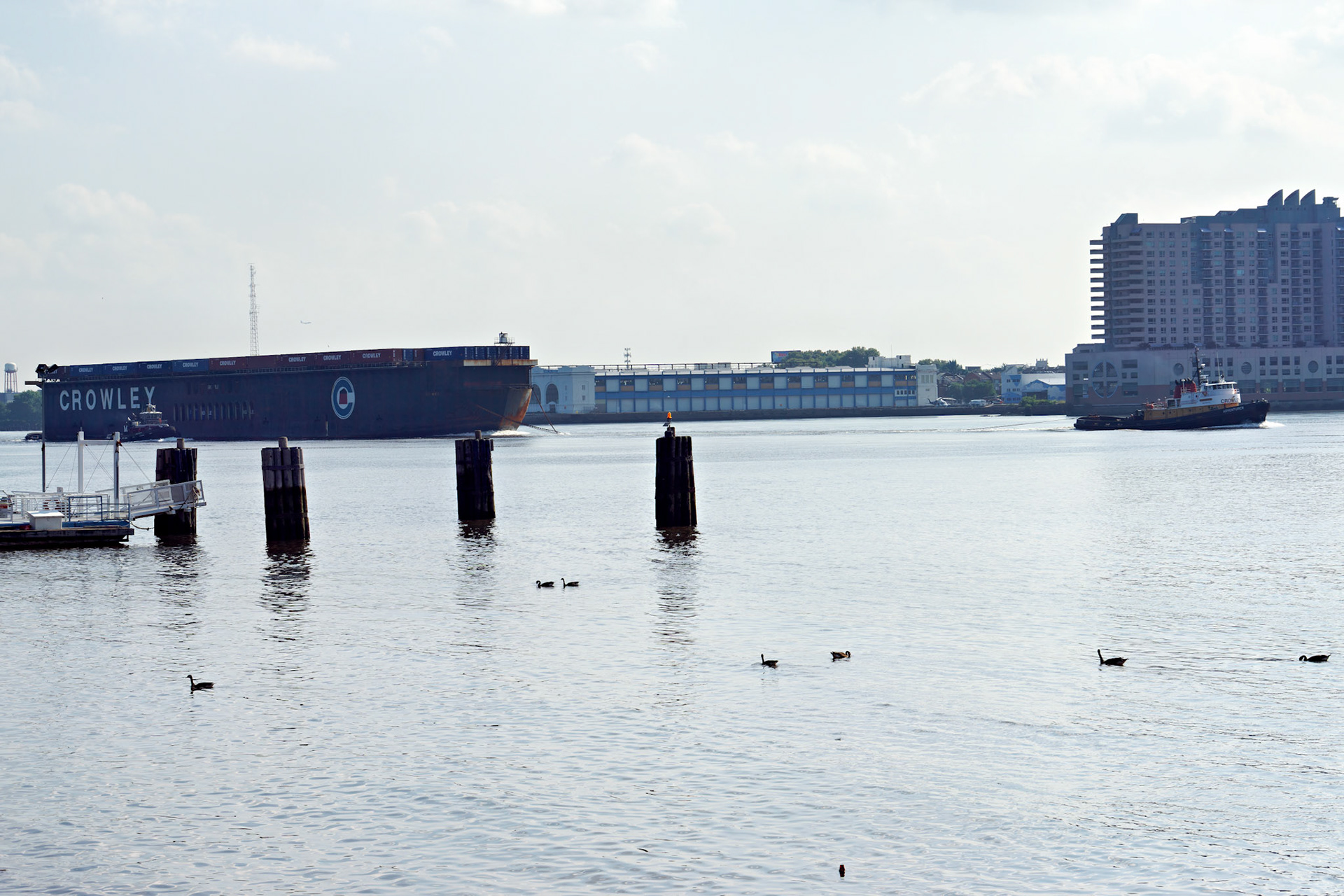 NJ_20140806_0743_PS.tif