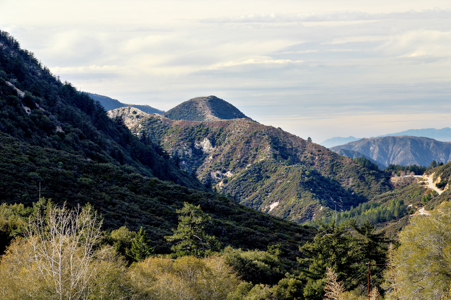 CA_LA_20051220_0289_PS
