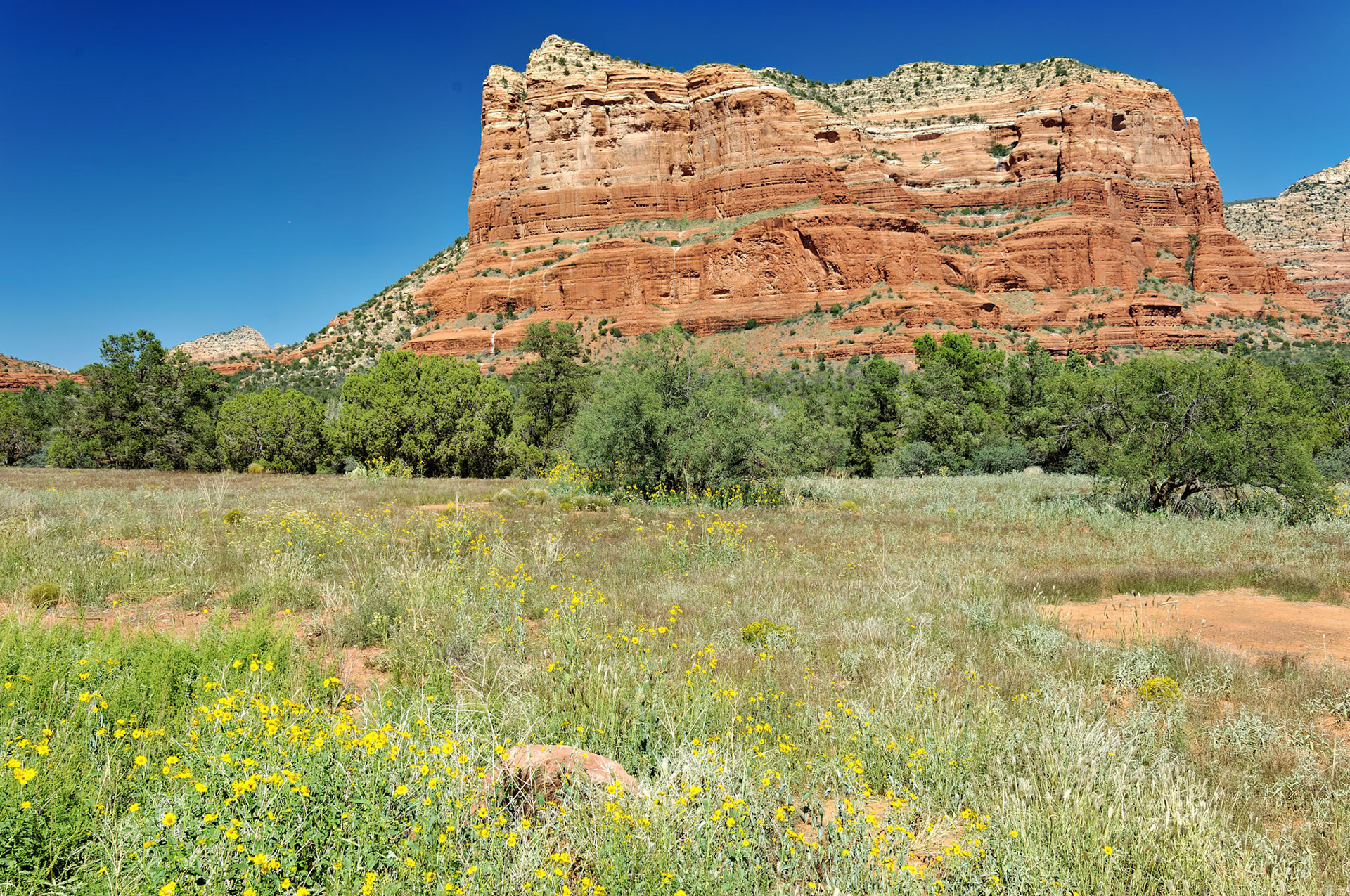 AZ_20060917_0081_PS