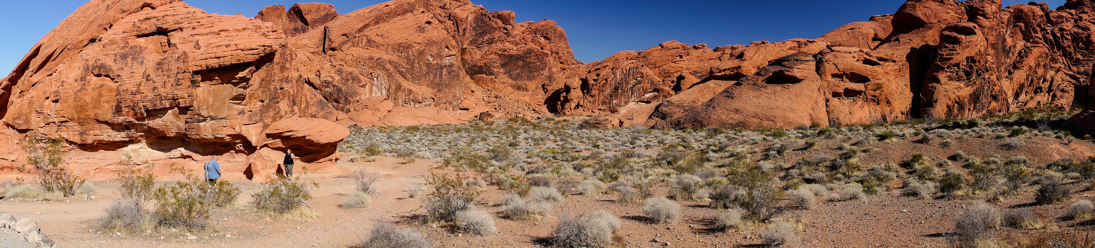 NV_Deserts_20120313_0212_PS