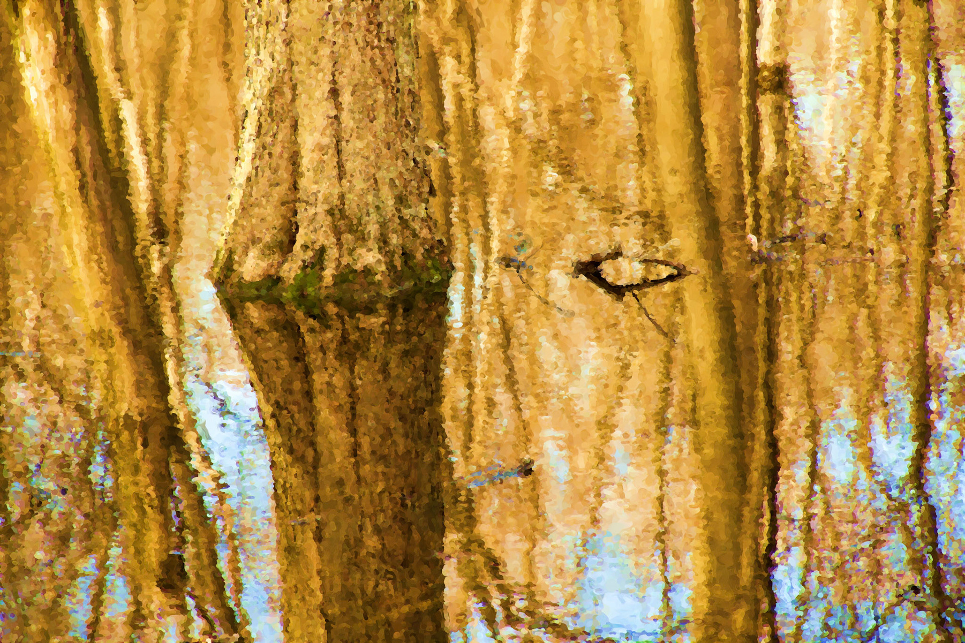 Painting__DSC2097_PaintingDWCIntense
