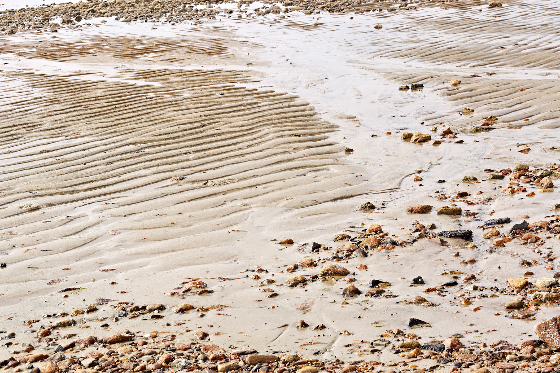 MA_CapeCod_20150717_0218_PS