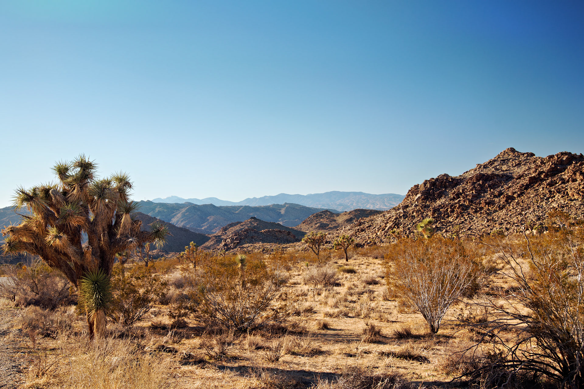 CA_PalmSprings_20090115_0295_PS