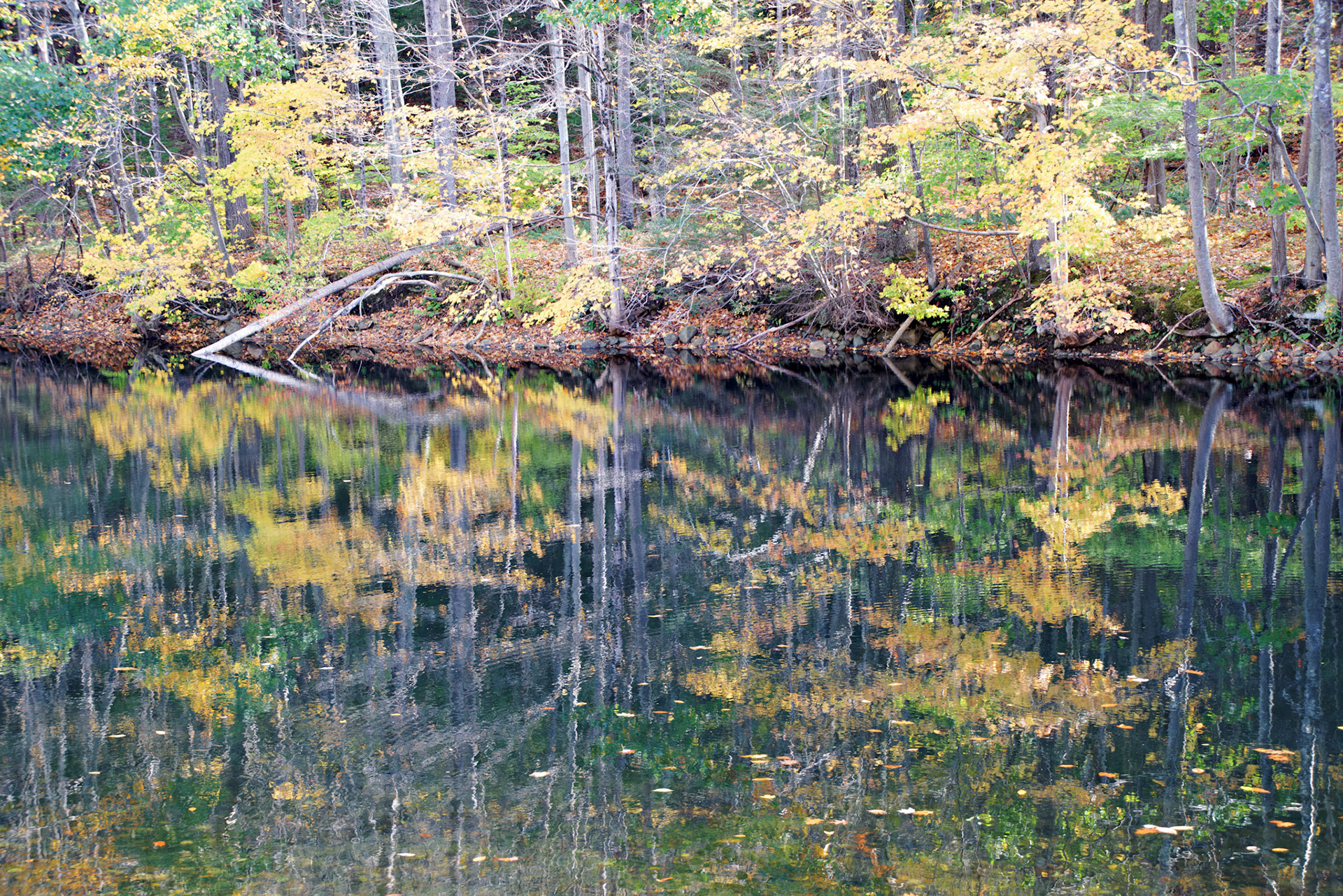 CT_20141019_0485_PS