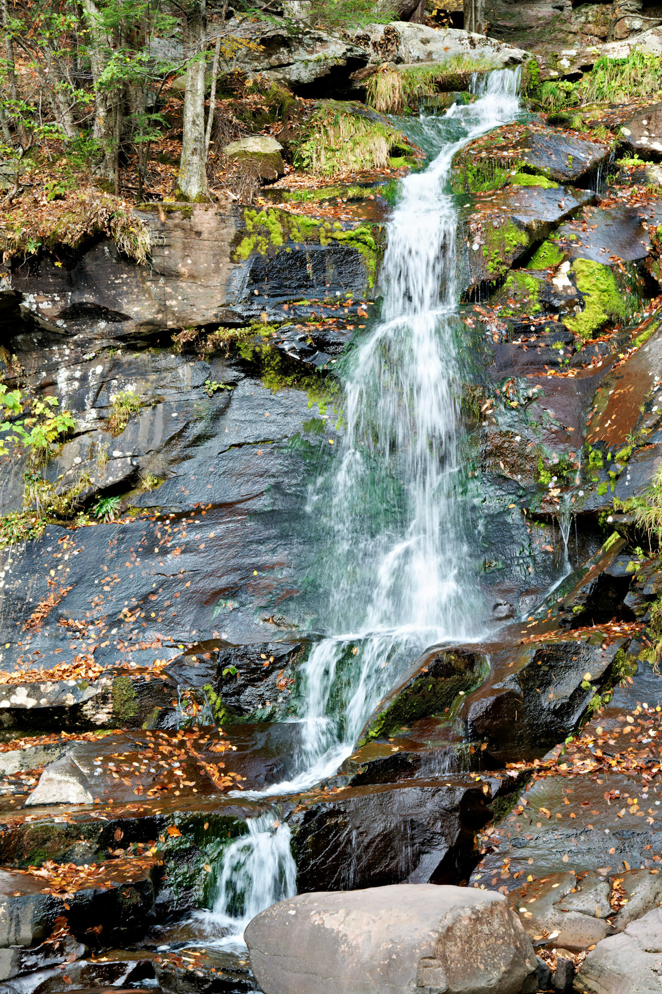 VT_20091023_0373_PS