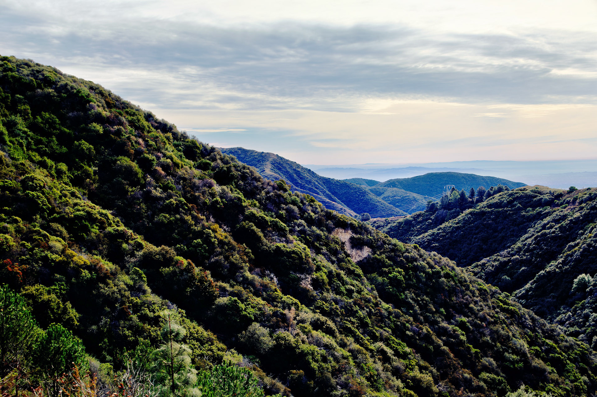 CA_LA_20051220_0229_PS