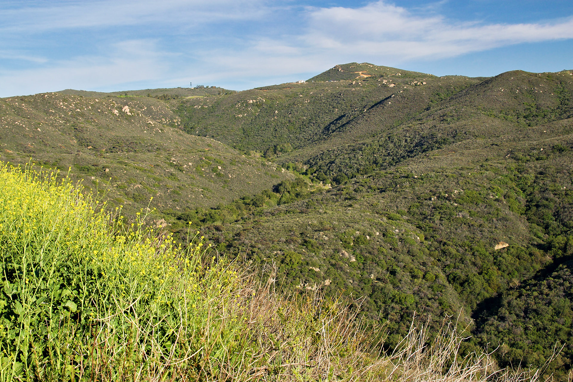 CA_LA_20030326_0006_PS