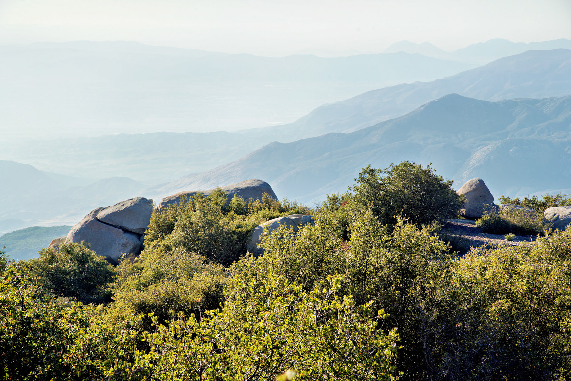 CA_PalmSprings_20111116_0441_PS