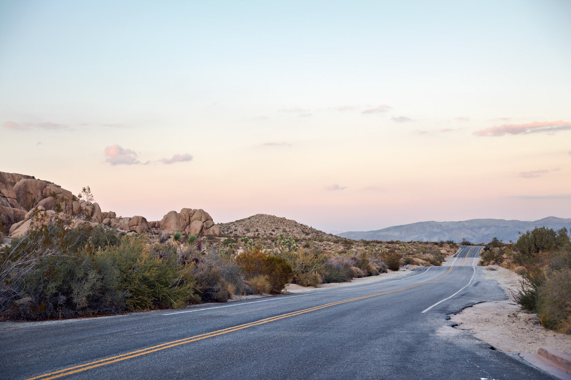 CA_JoshuaTree_20111114_0289_PS