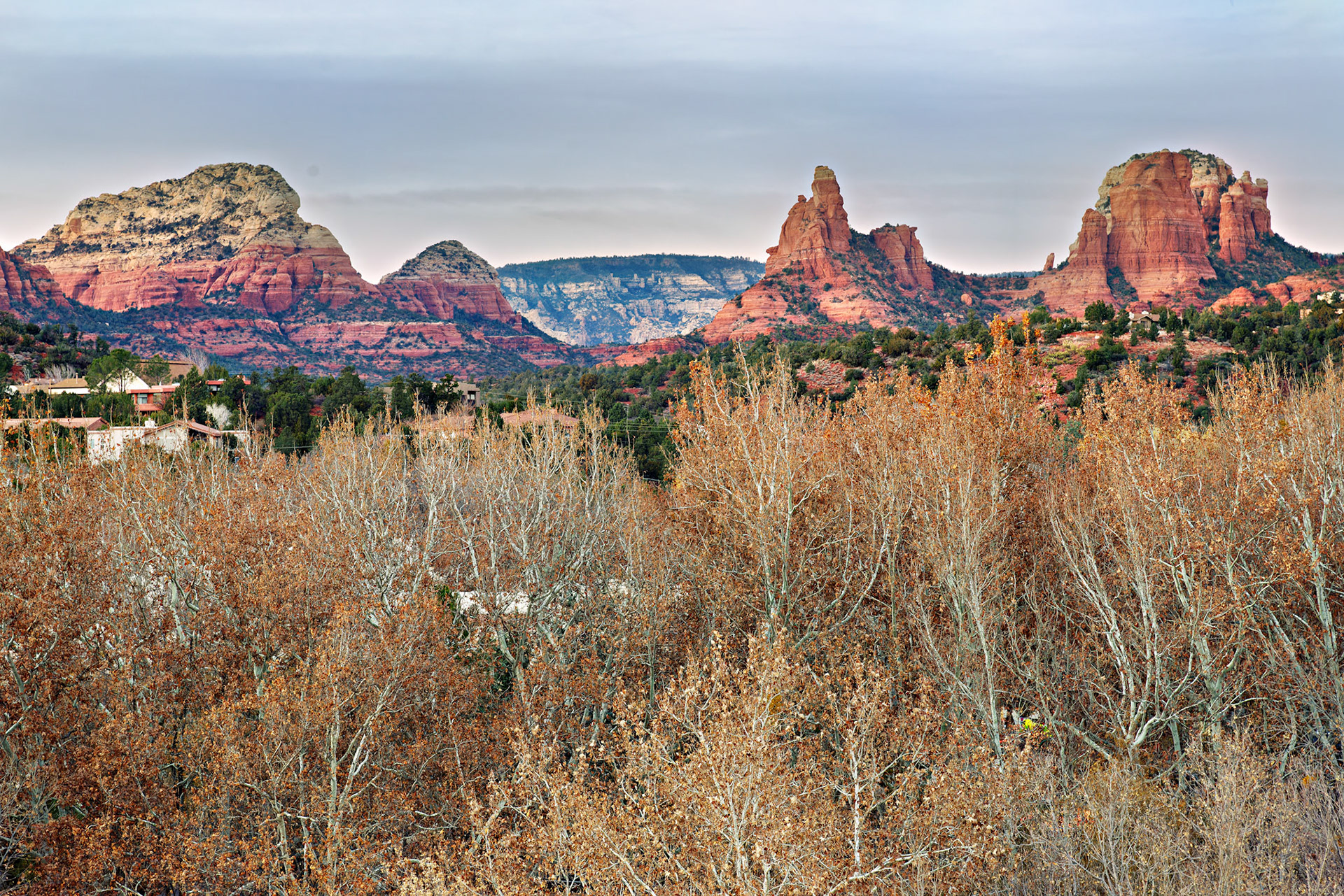 AZ_20121212_0683_PS.dng