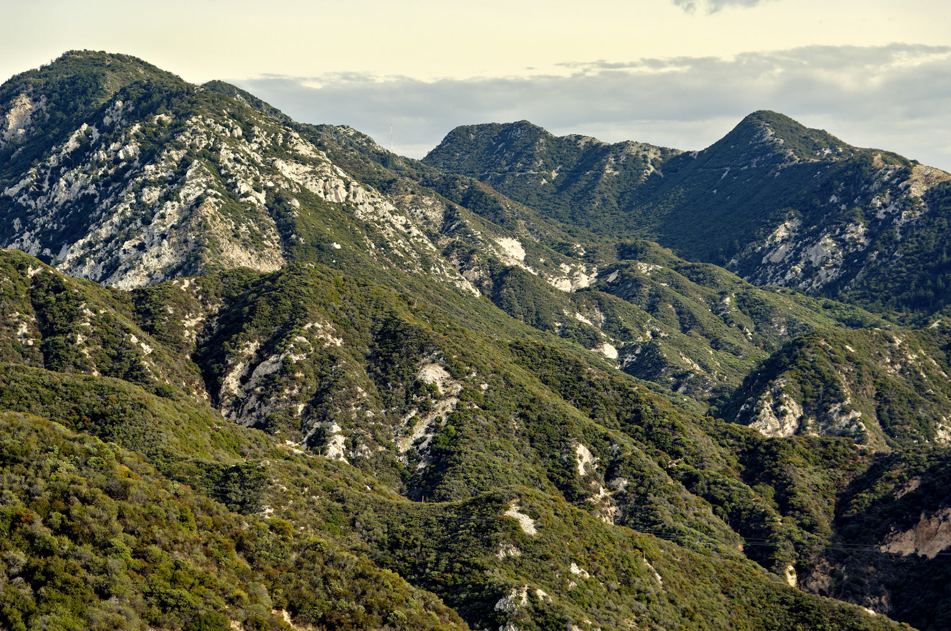 CA_LA_20051220_0299_PS