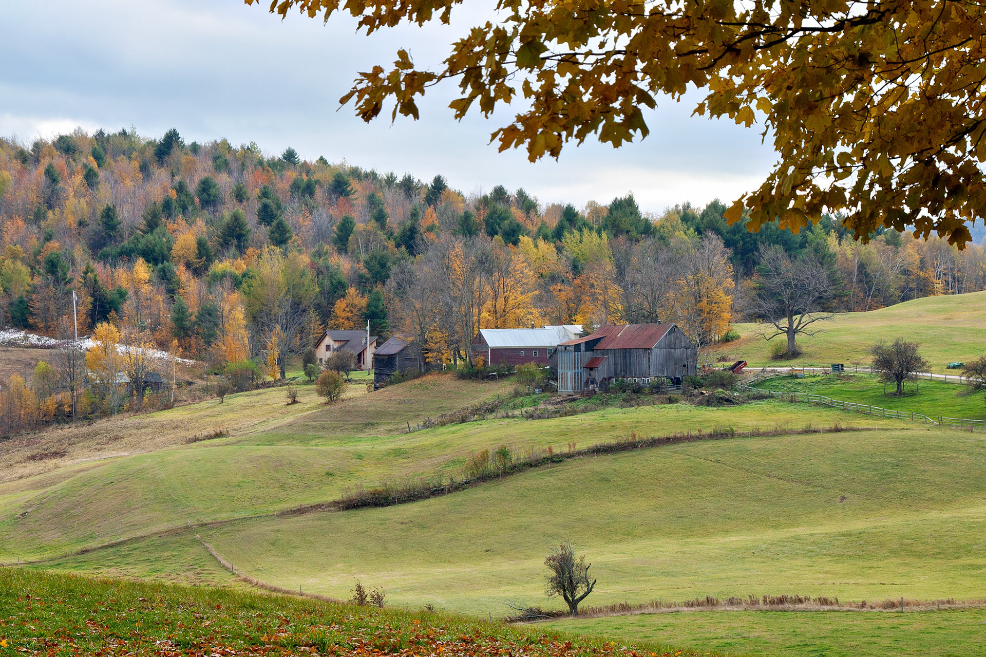 VT_20021028_0040_PS