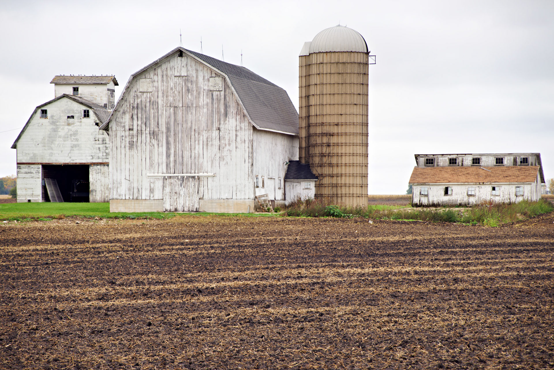 IL_20141016_0575_PS.tif