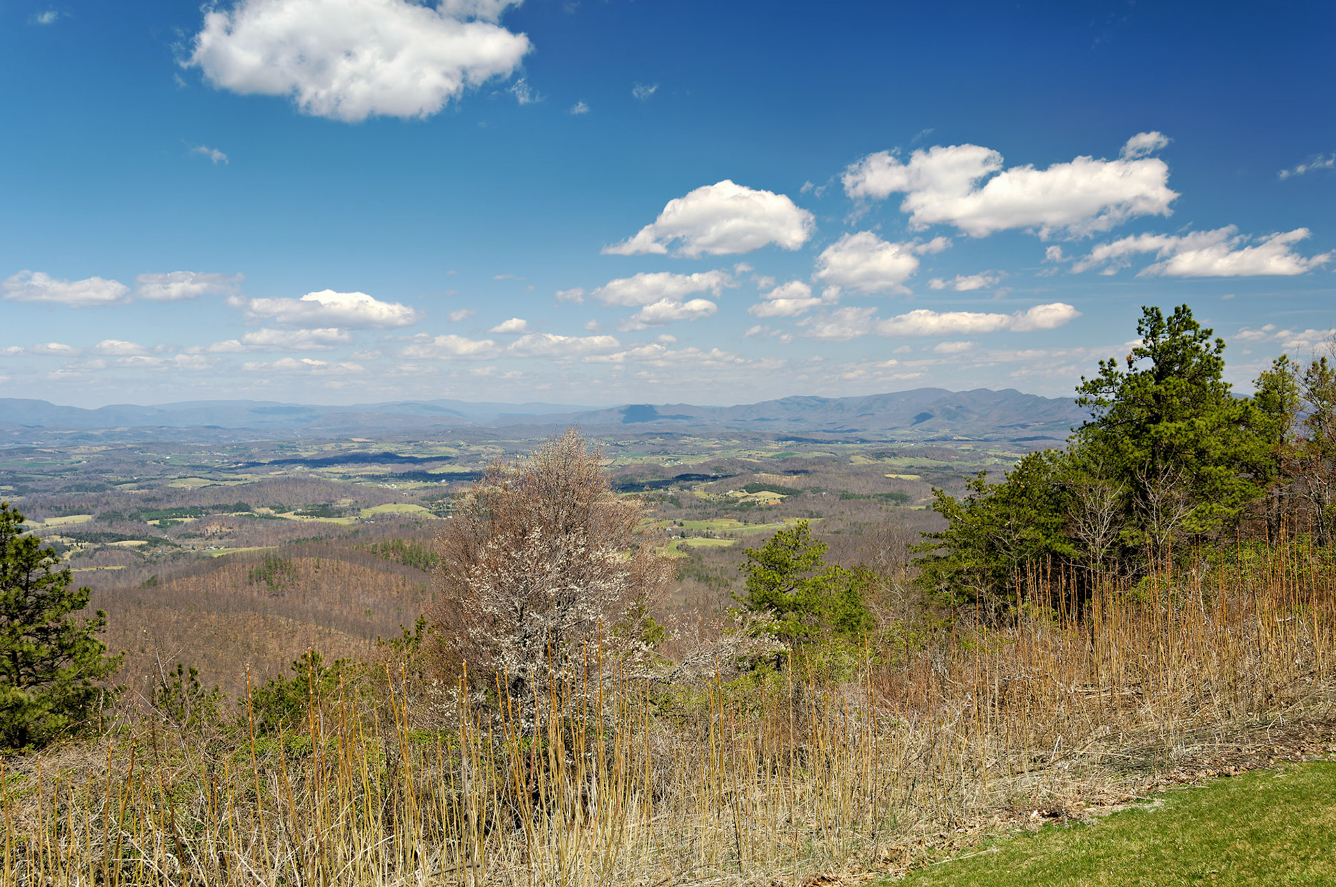 VA_BlueRidge_20060405_0067_PS