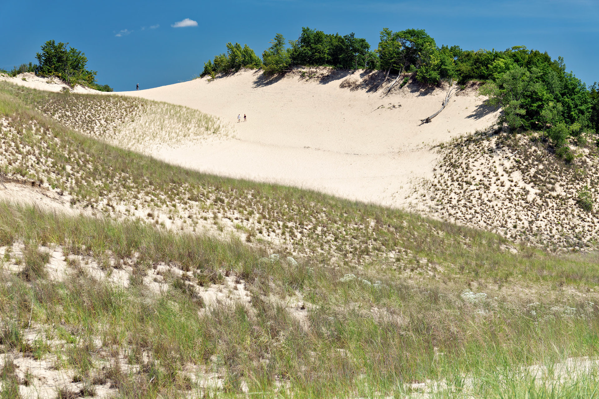 MI_New BuffaloArea_20160808_0154_PS