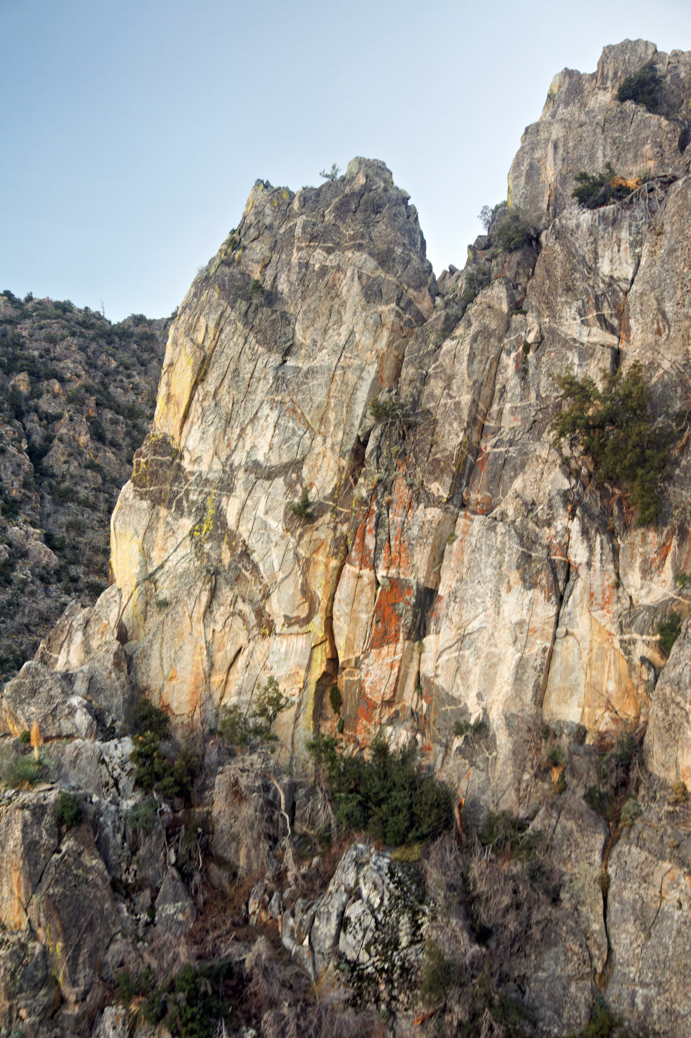 CA_PalmSprings_20111115_0371_PS
