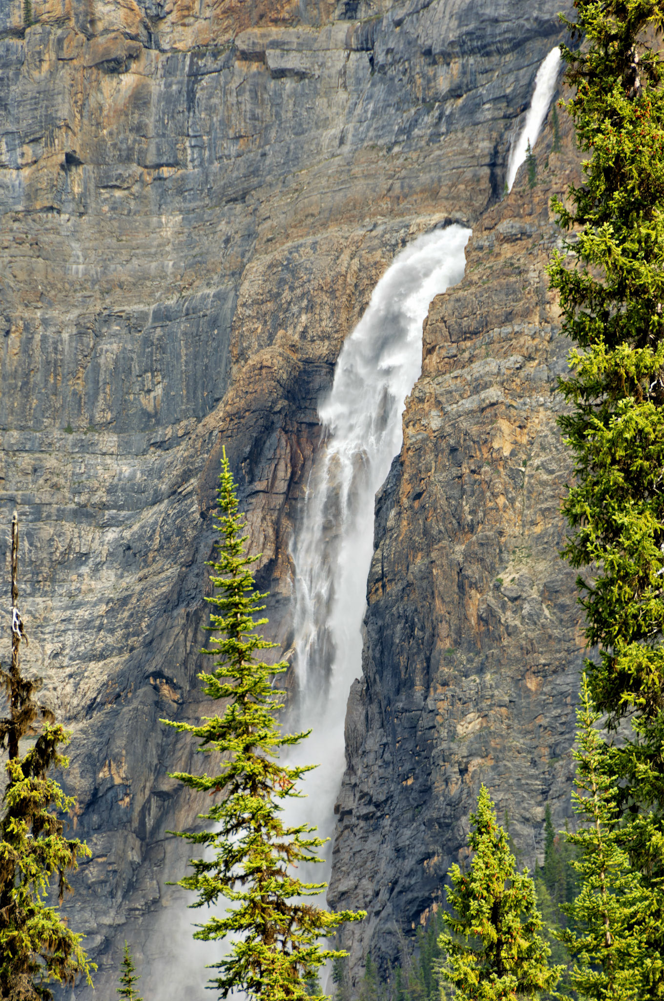CN_20060803_0584_PS