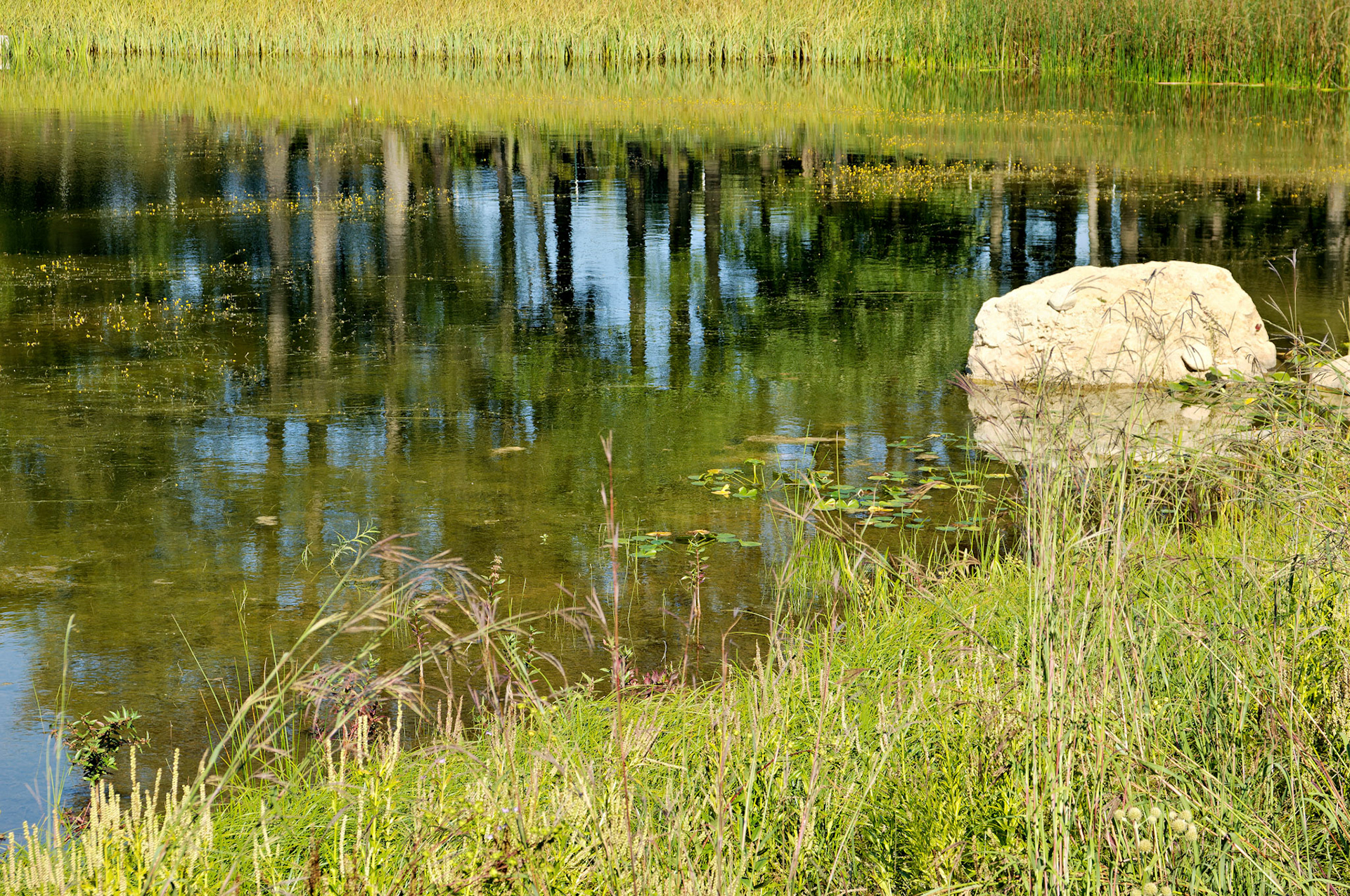 IL_Morton Arboretum_20050920_0235_PS