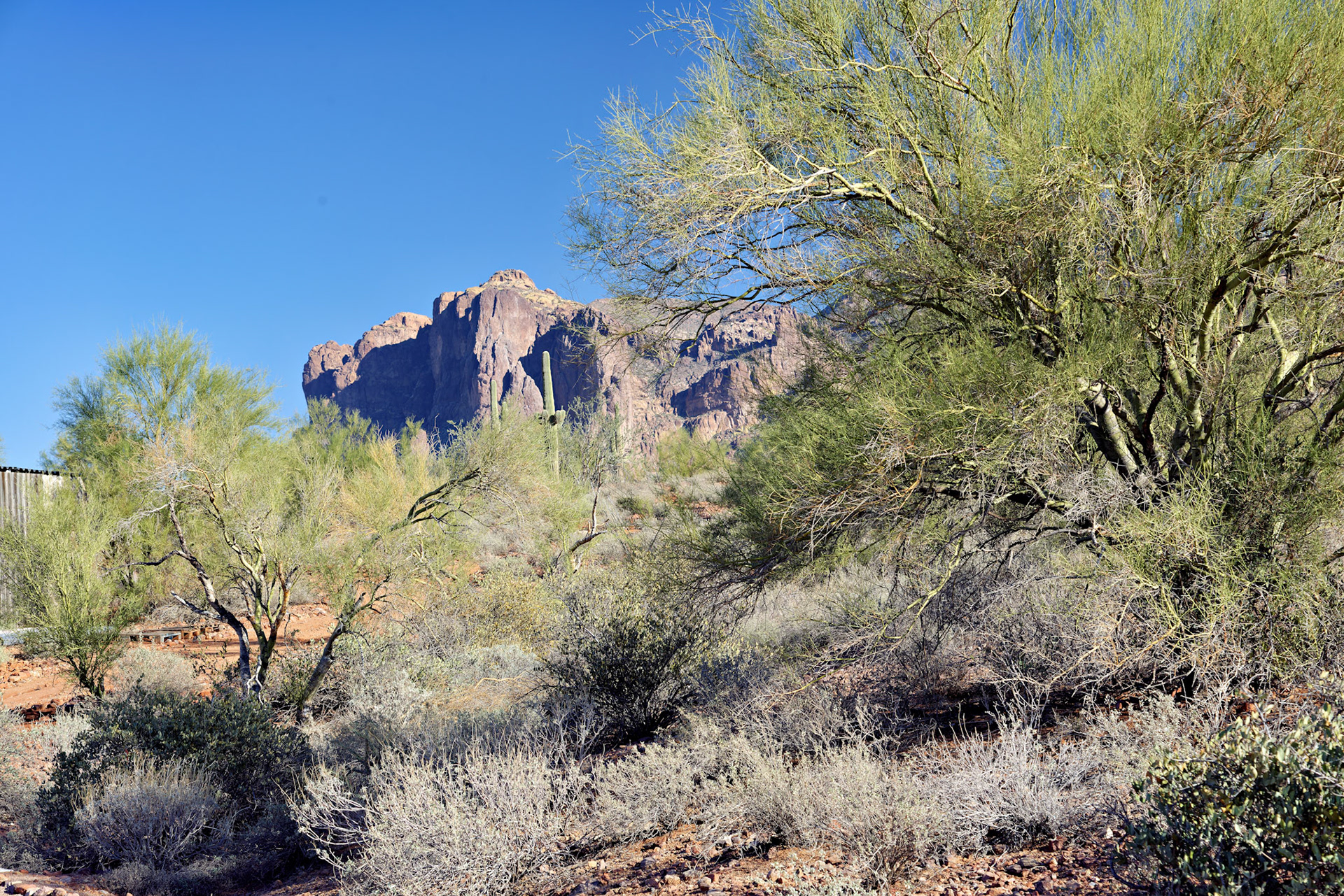 AZ_20121209_0337_PS.dng