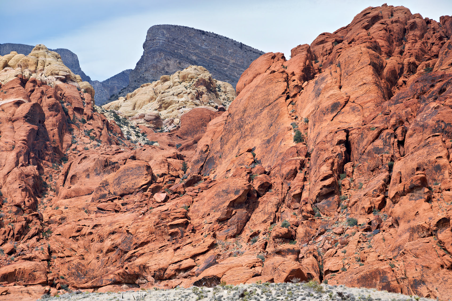NV_Deserts_20120312_0042_PS.tif
