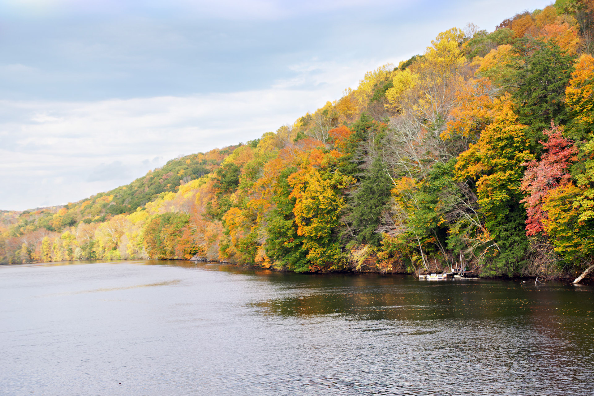 CT_20141017_0453_PS