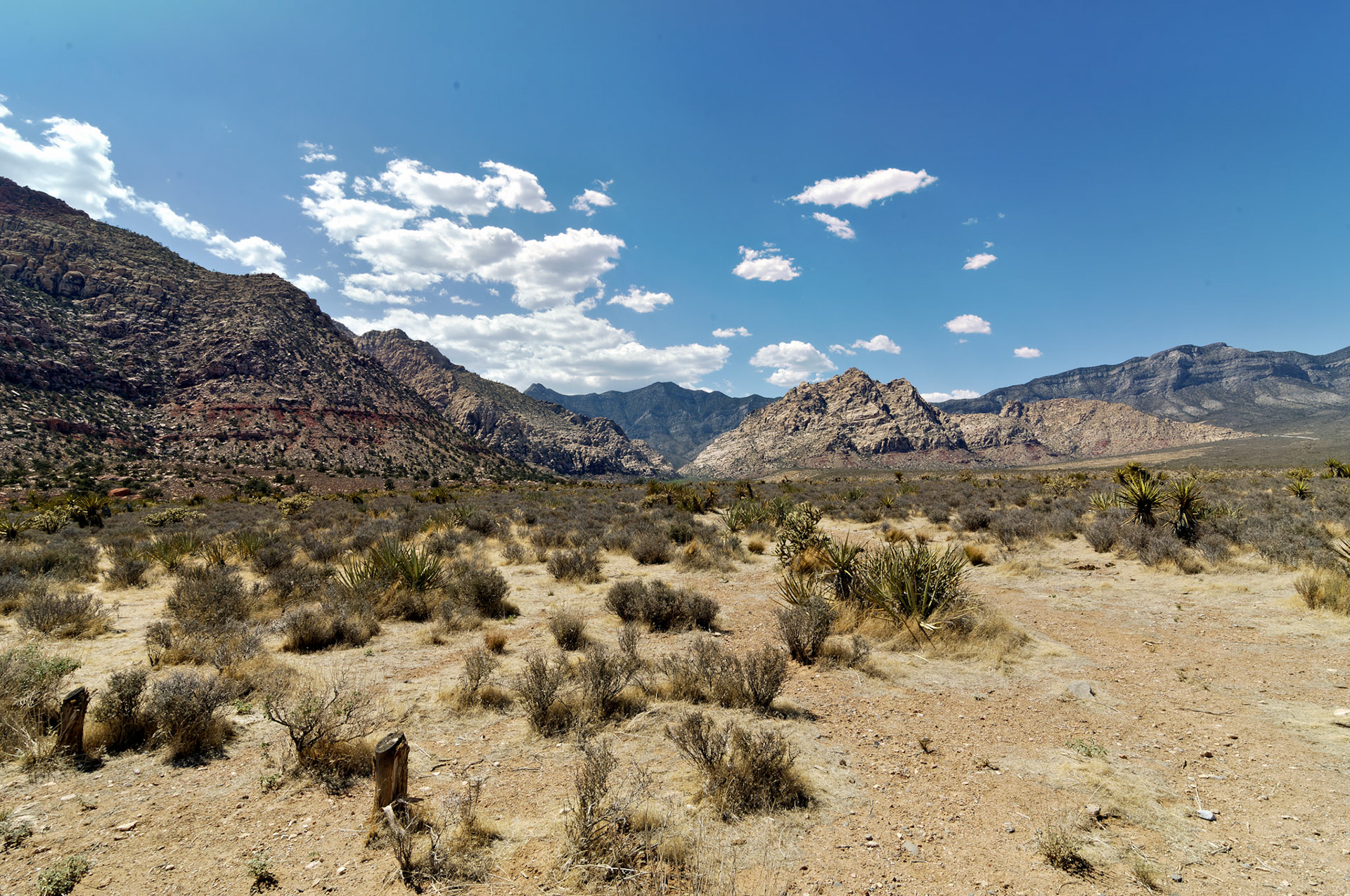 NV_20070531_0152_PS
