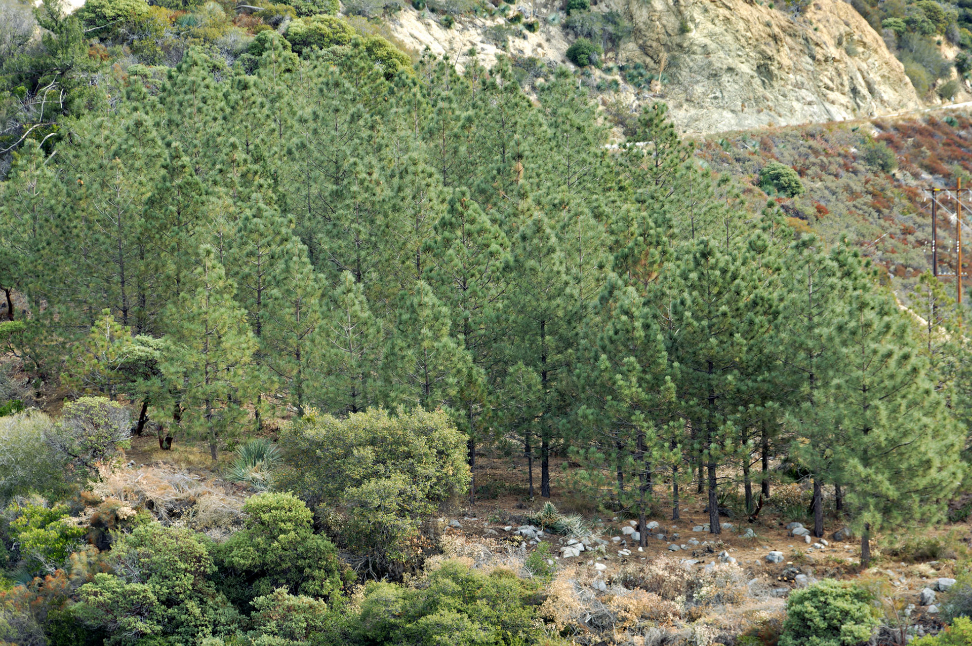 CA_LA_20051220_0266_PS