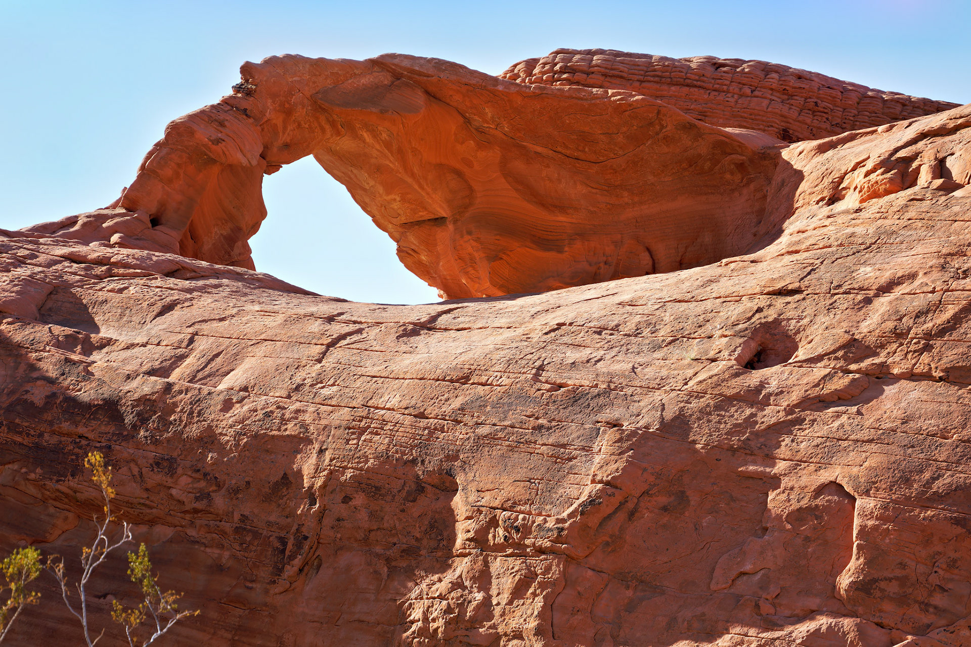 NV_Deserts_20120313_0231_PS