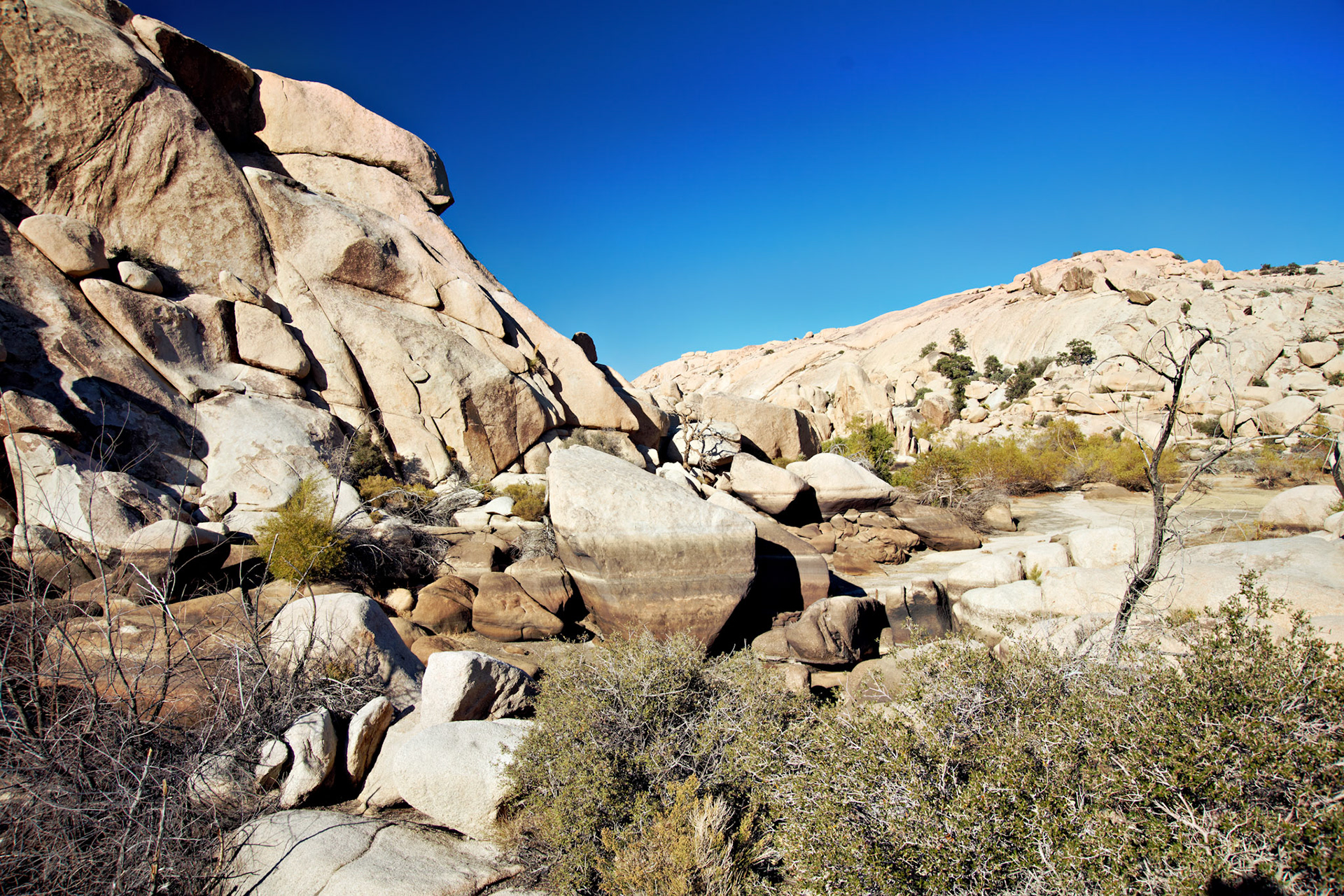 CA_JoshuaTree_20111114_0213_PS