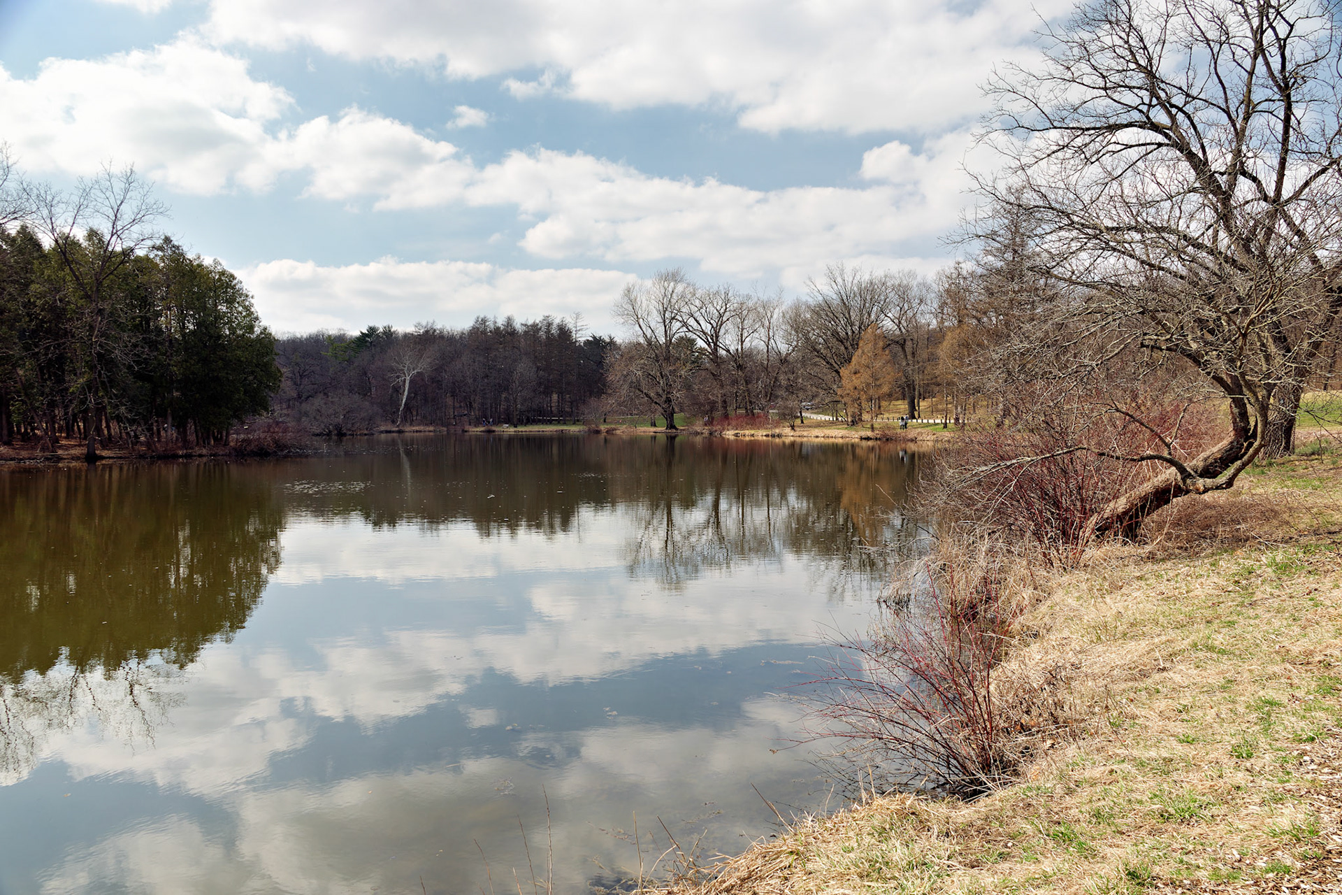 IL_Morton Arboretum_20190406_0878_PS
