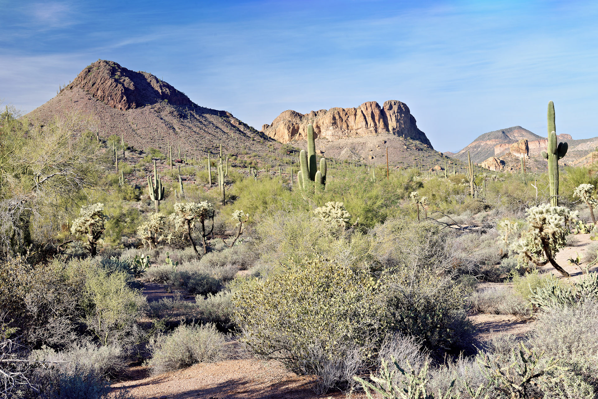 AZ_20121209_0355_PS.dng