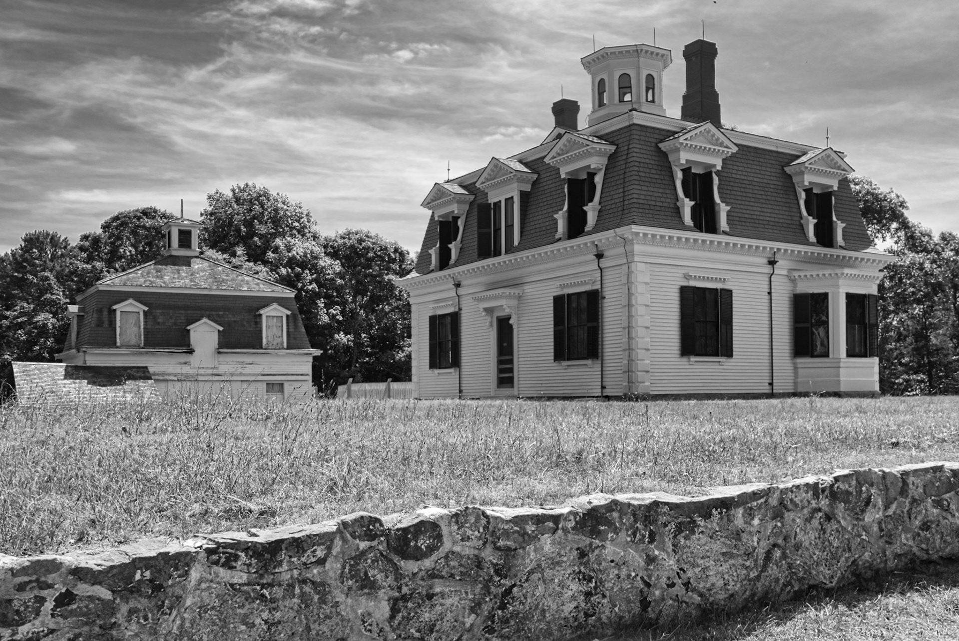 Black &amp; White 00290