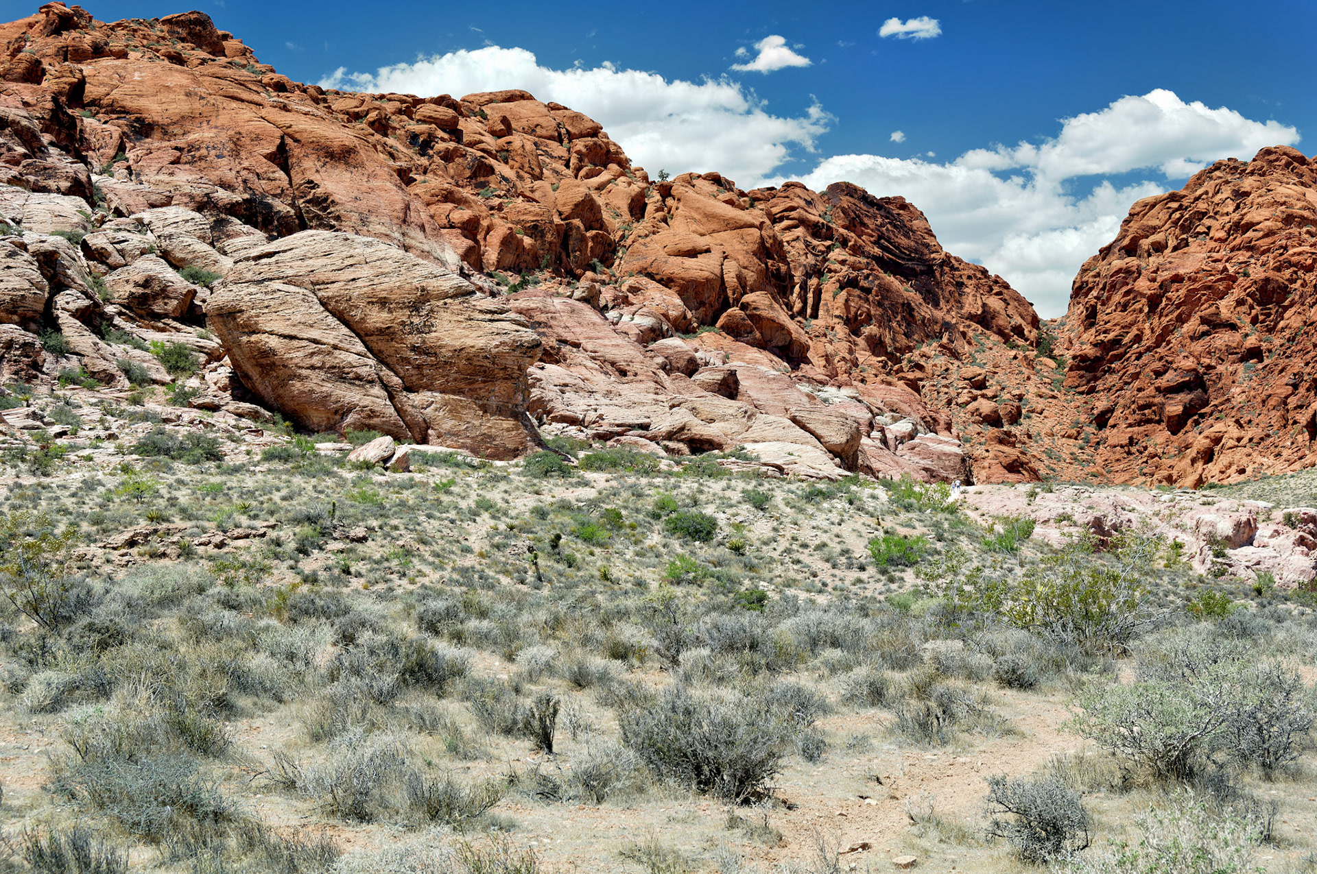 NV_20070531_0098_PS