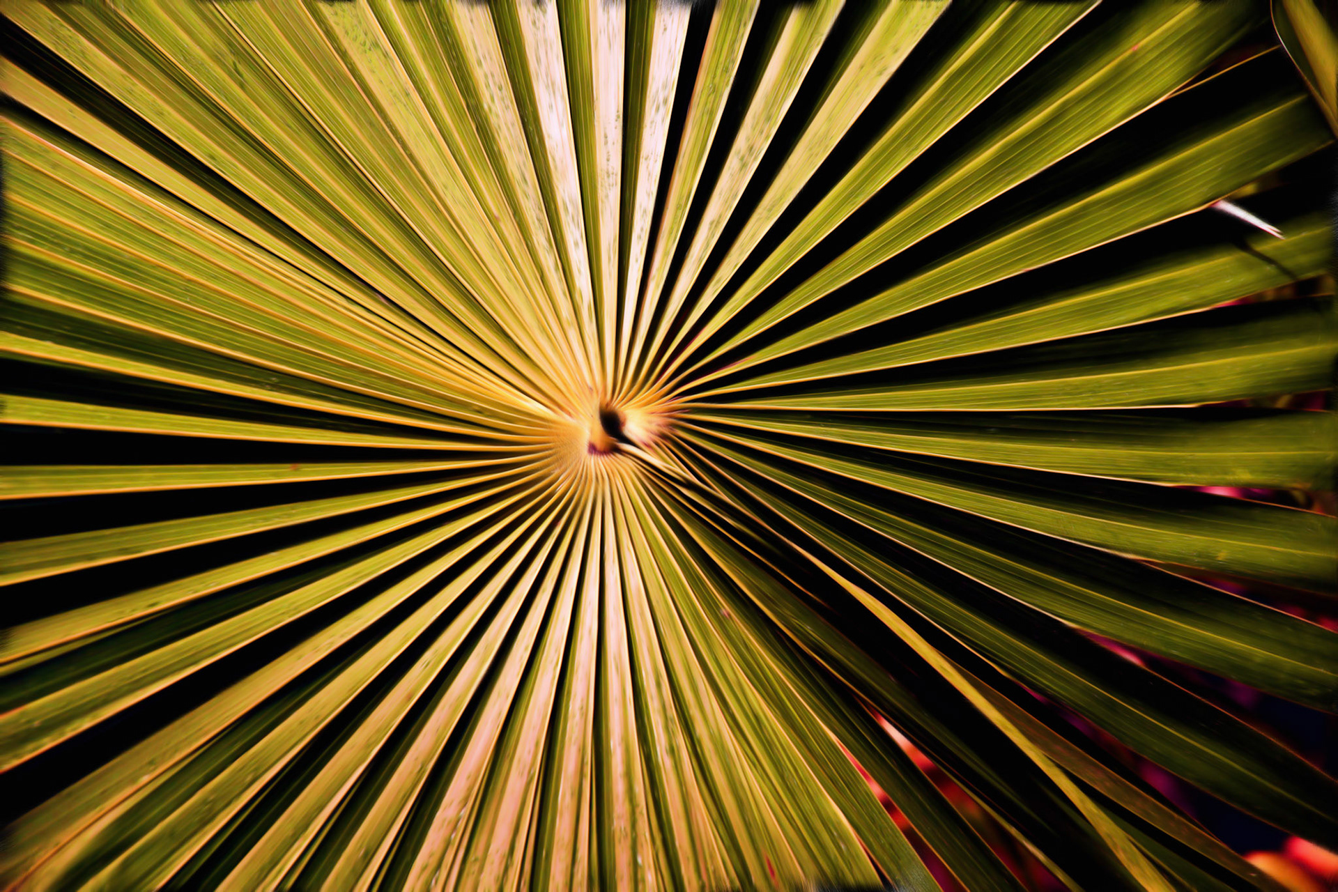 Painting_DSC2880COil