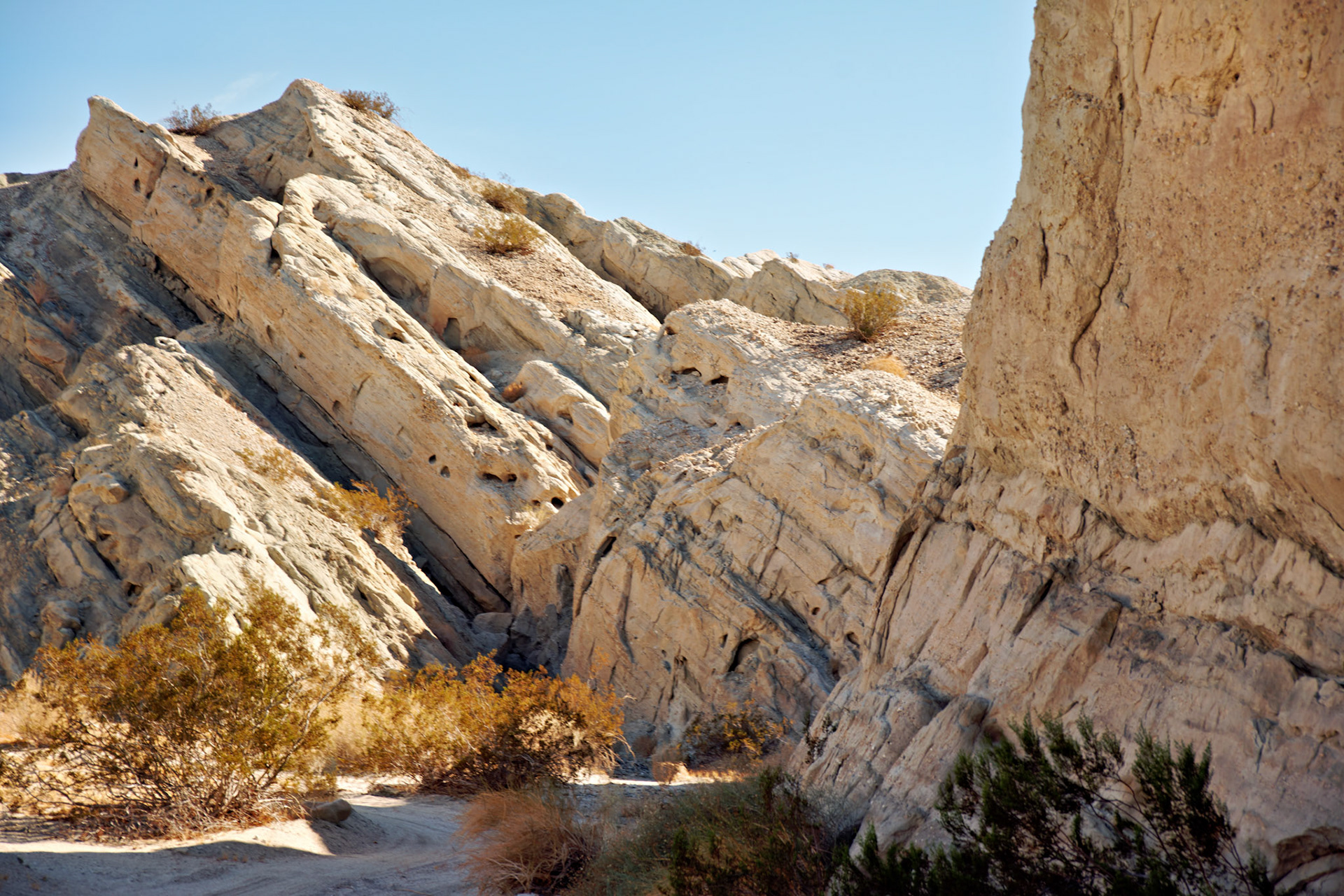 CA_PalmSprings_20111117_0534_PS