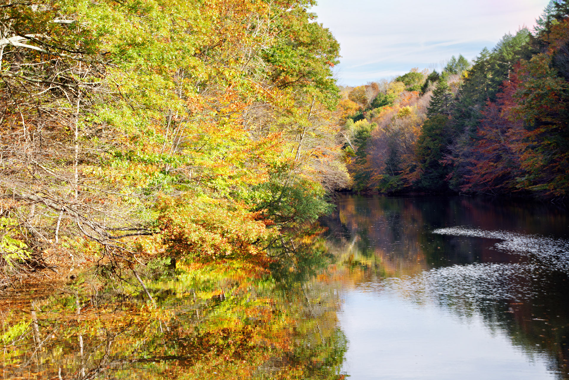 CT_20141019_0484_PS