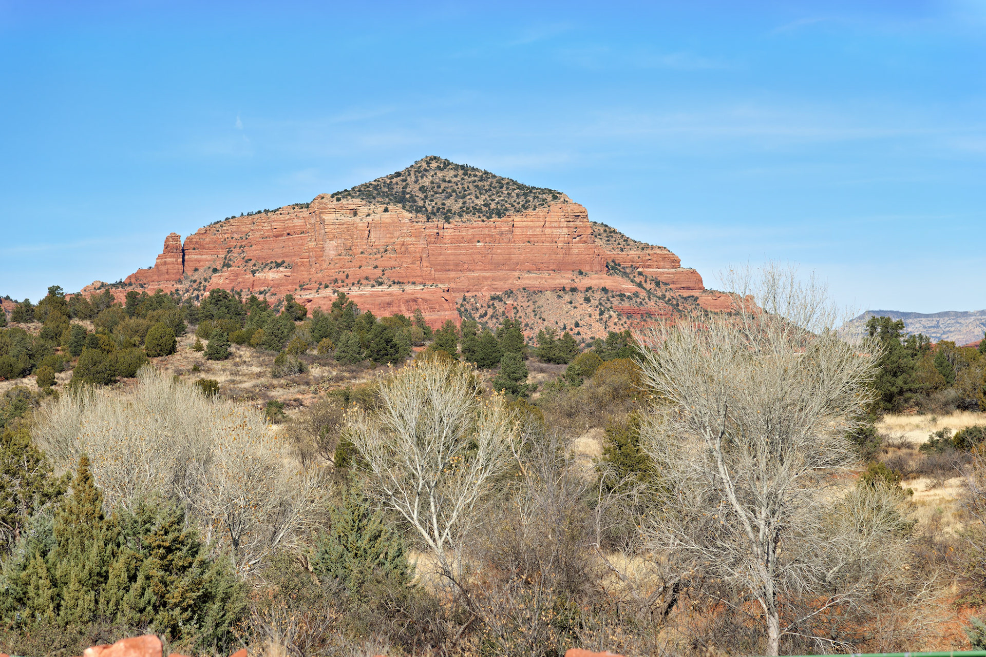 AZ_20121211_0580_PS.dng