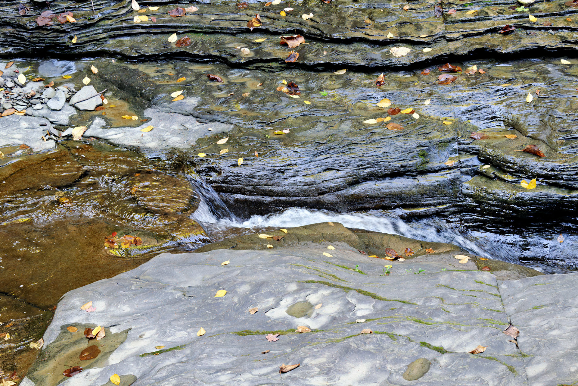 NY_FingerLakes_20120927_0153_PS