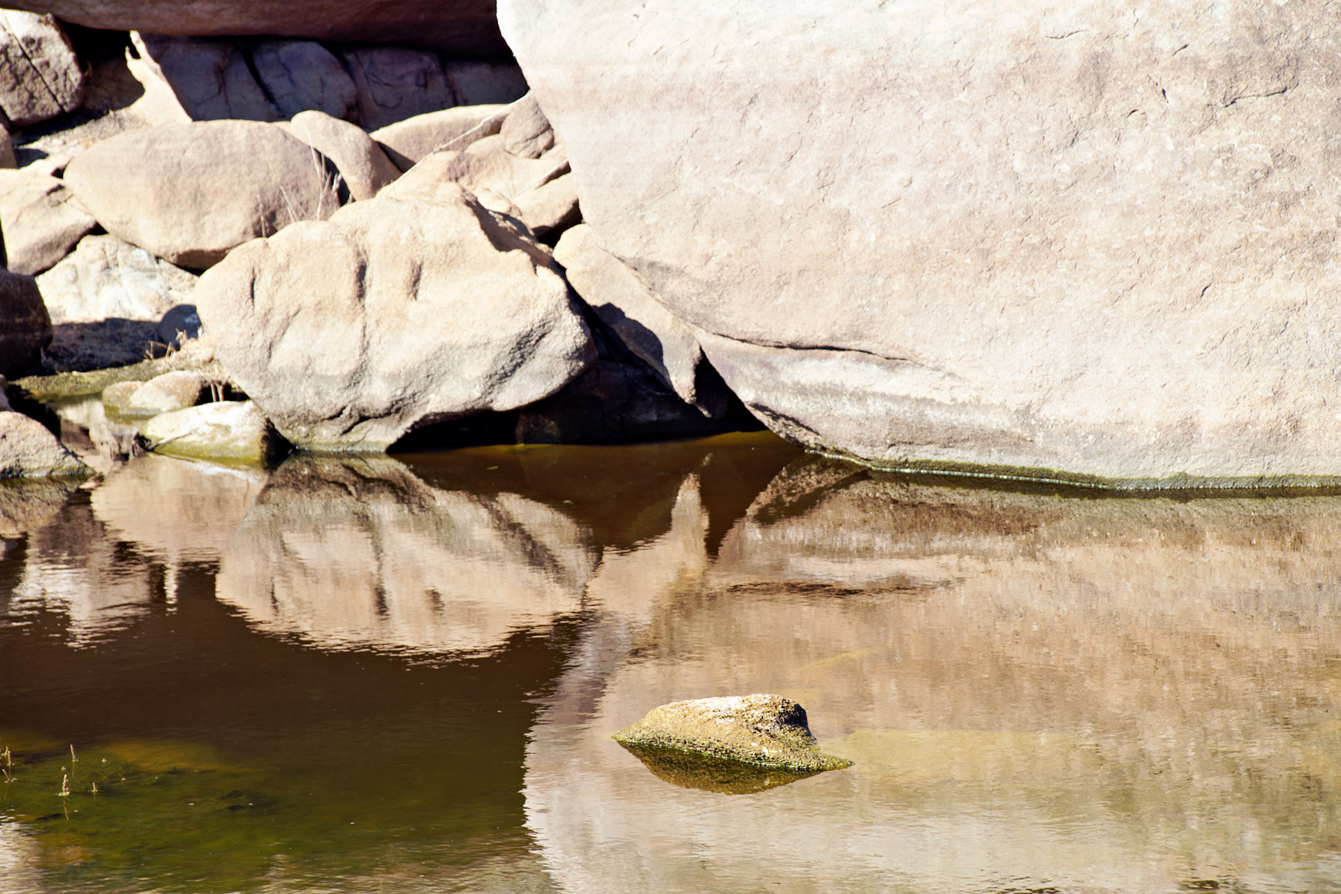 CA_PalmSprings_20090115_0229_PS