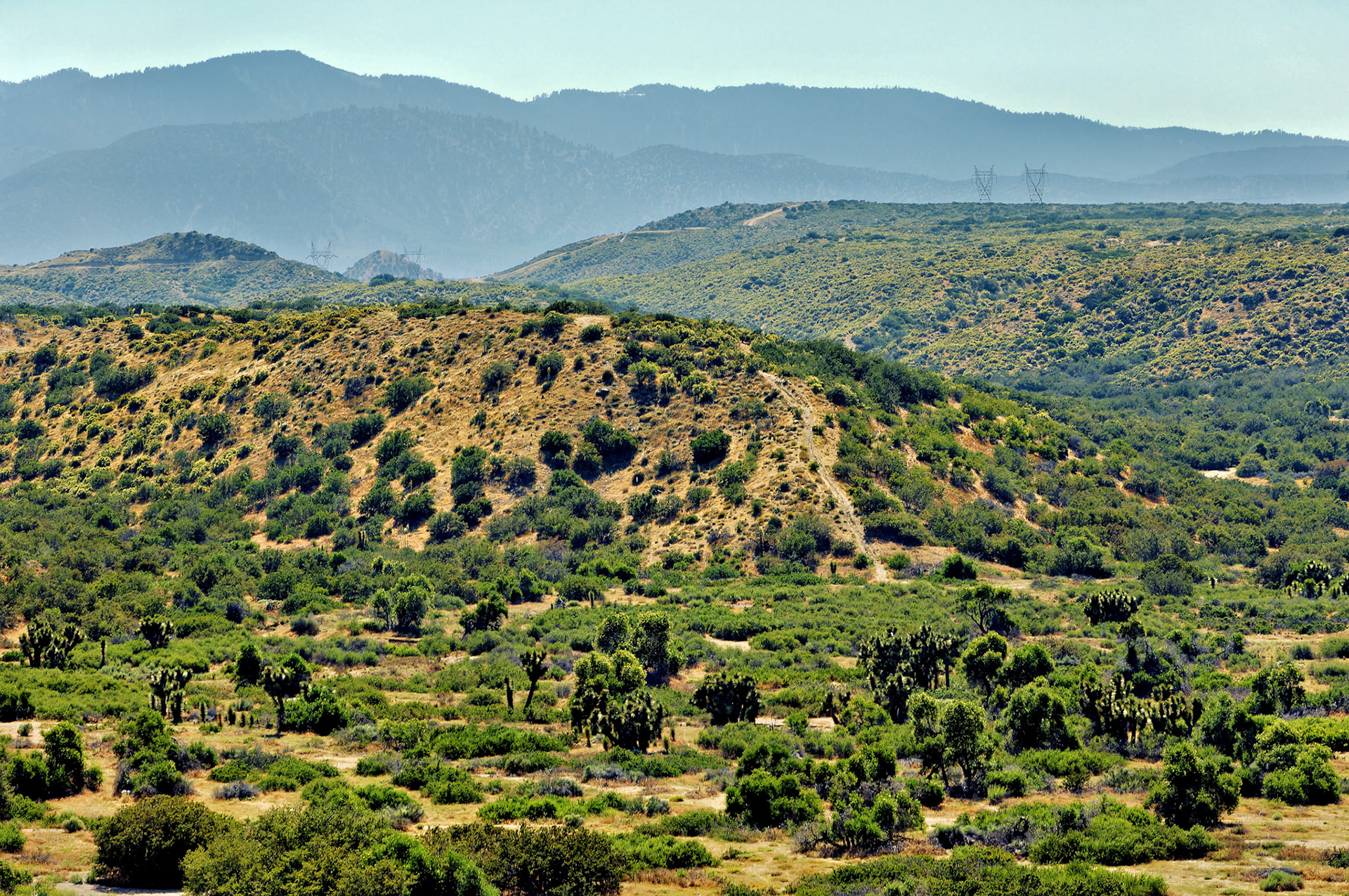 CA_20050613_0027_PS