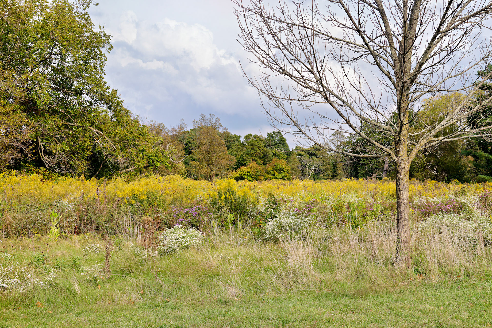NJ_DukeEstate_20120928_0236_PS.tif