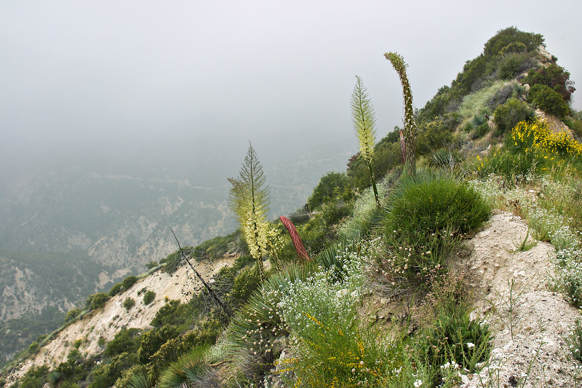 CA_LA_20030514_0353_PS