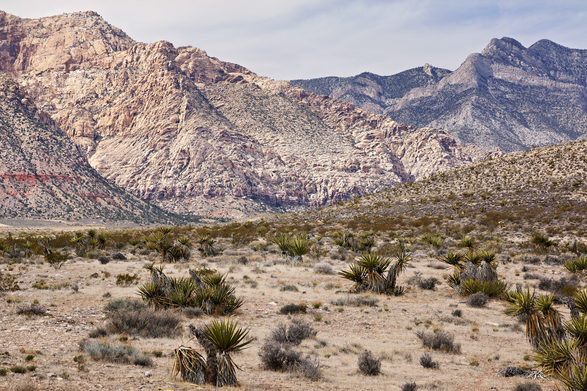 NV_Deserts_20120312_0031_PS.tif