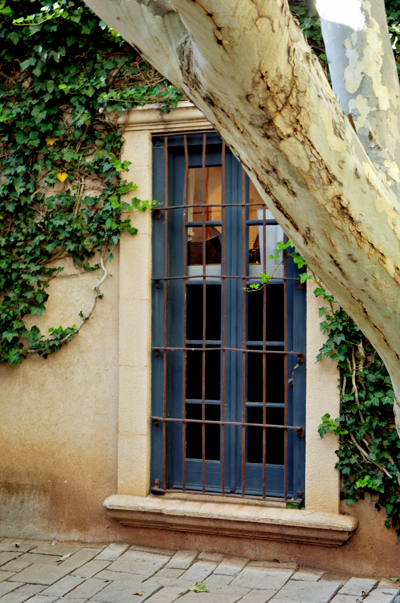 AZ_20060917_0107_PS.dng