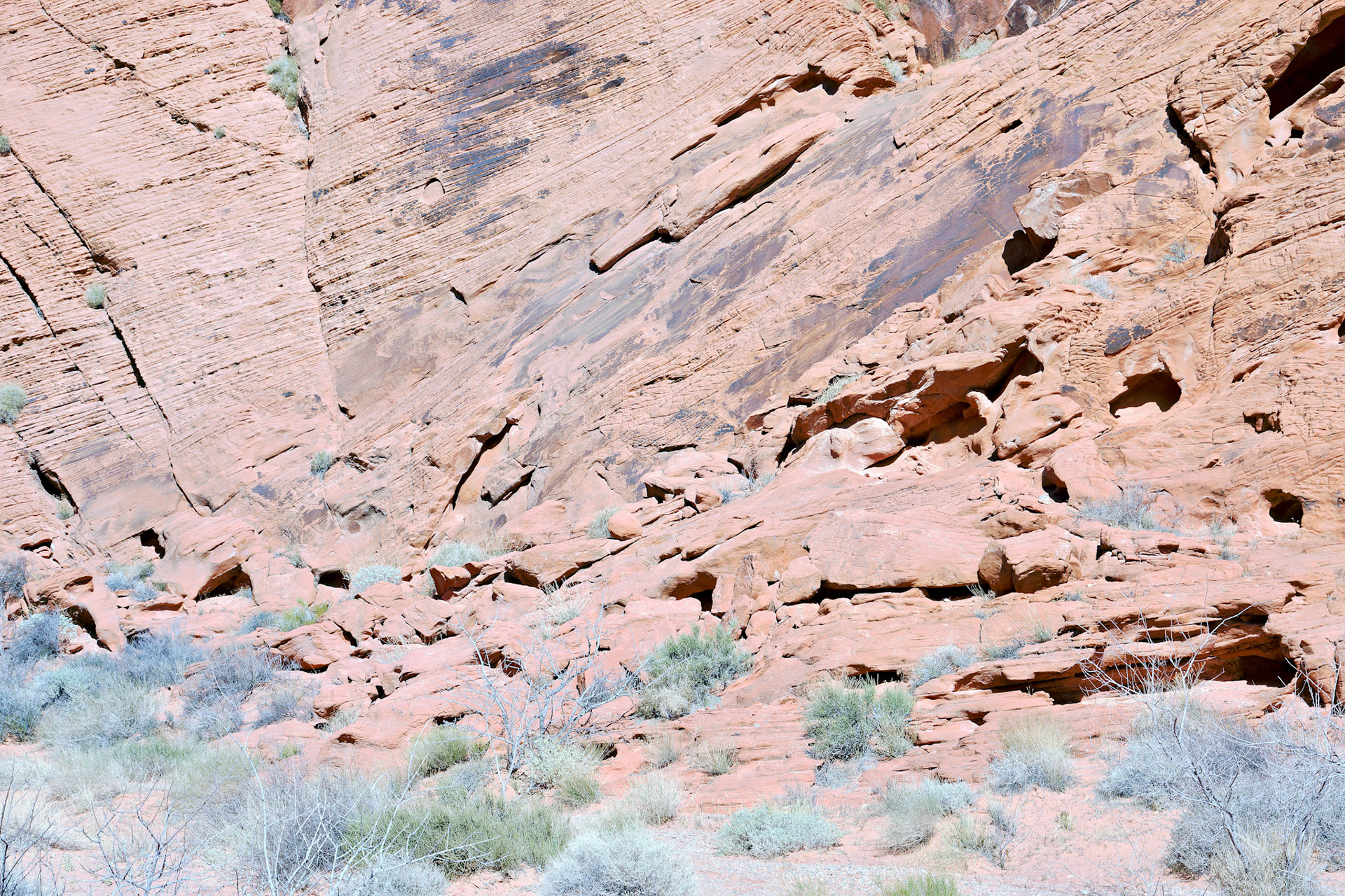 NV_Deserts_20120313_0130_PS.tif