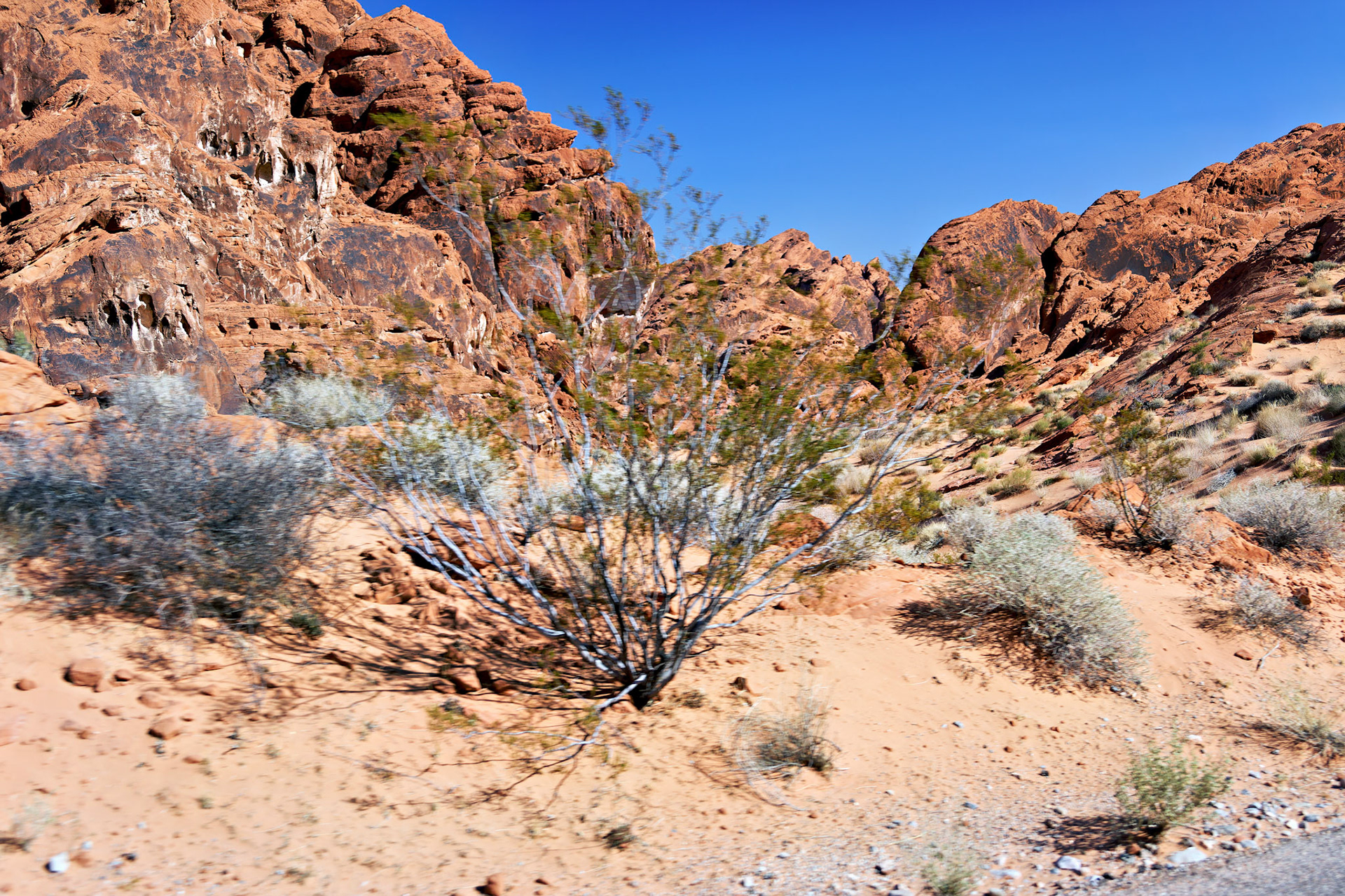 NV_Deserts_20120313_0188_PS.tif