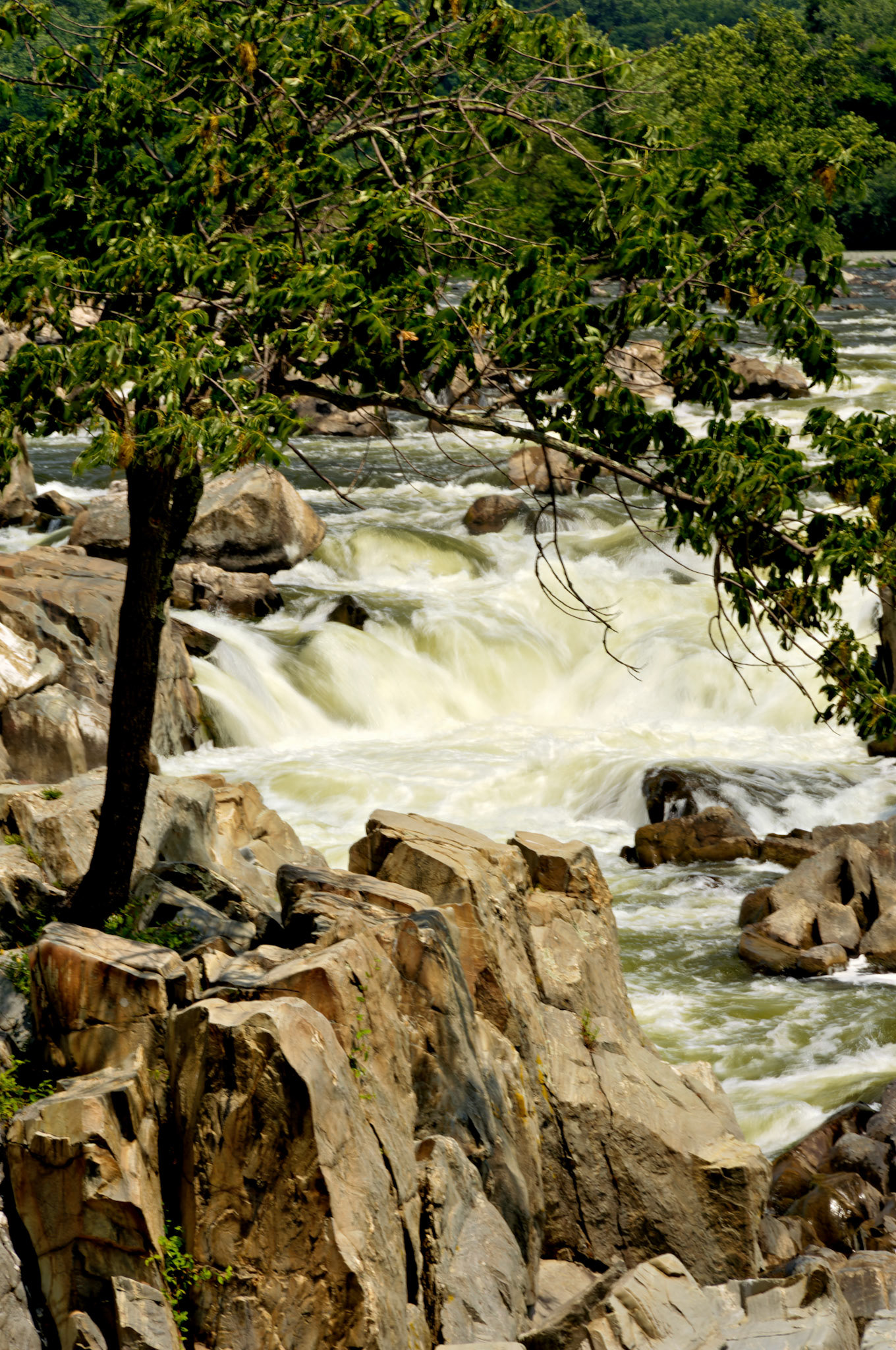 VA_GreatFalls_20070607_0003_PS